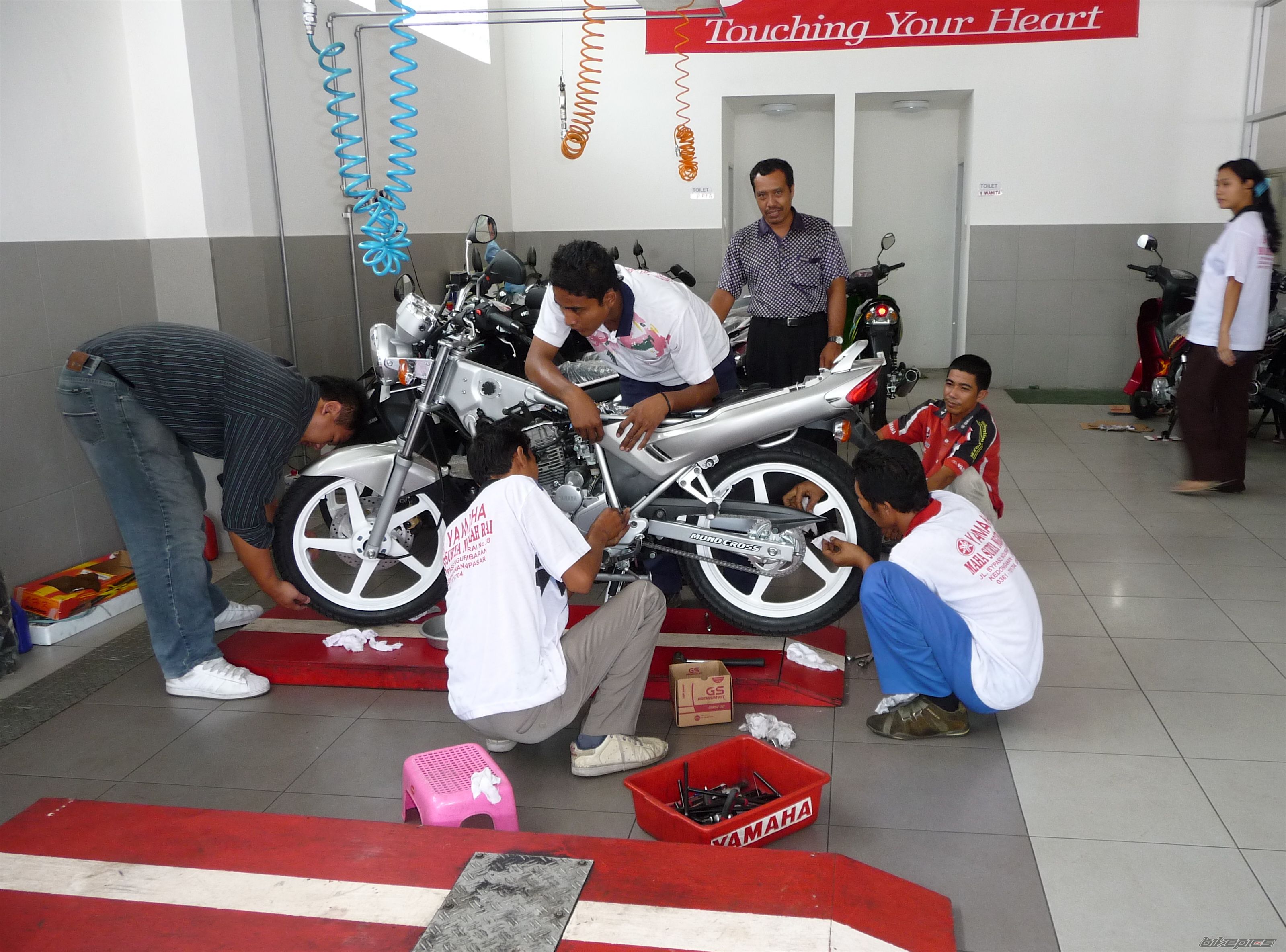 Photo 1515169