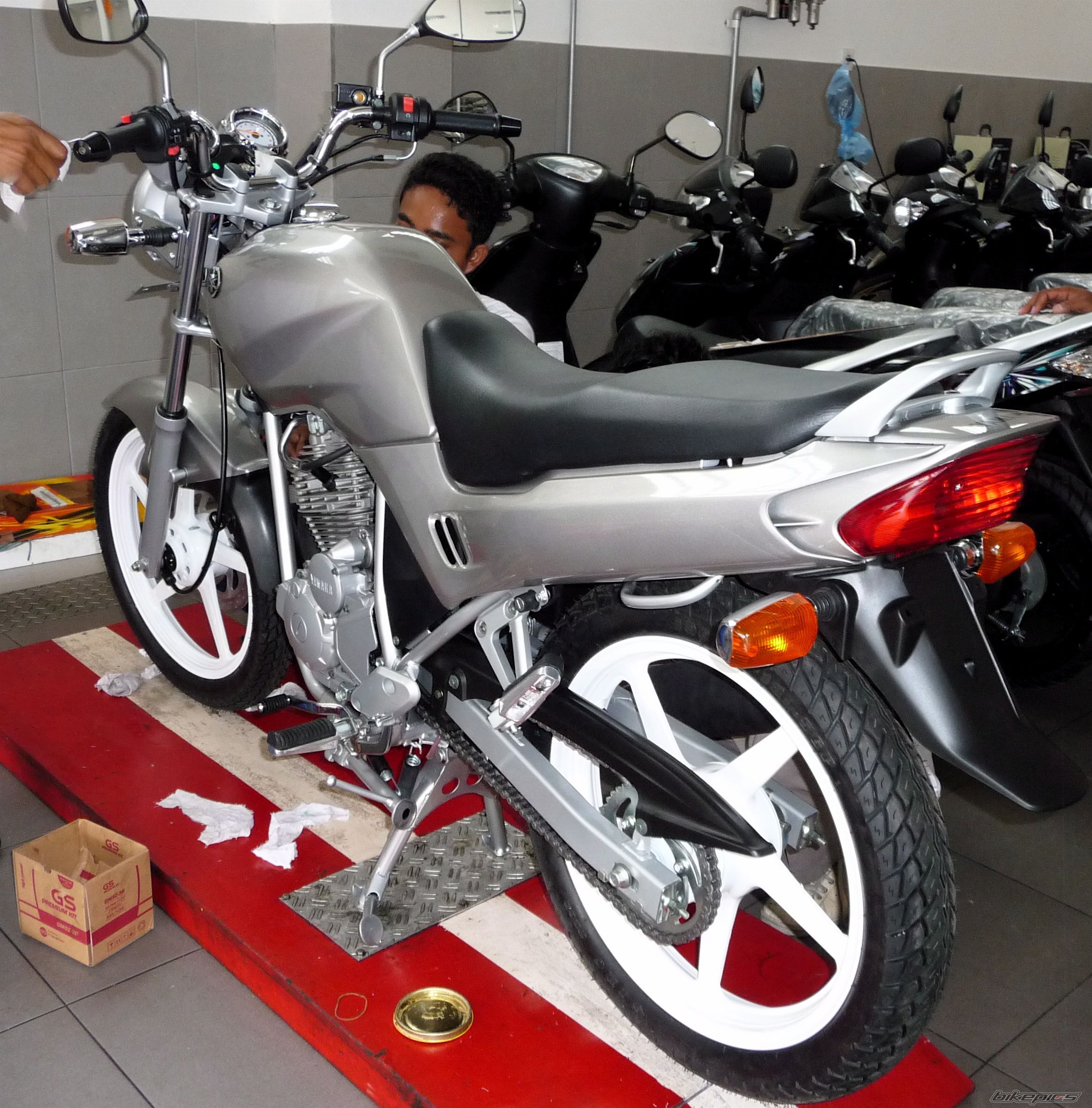 Photo 1515187