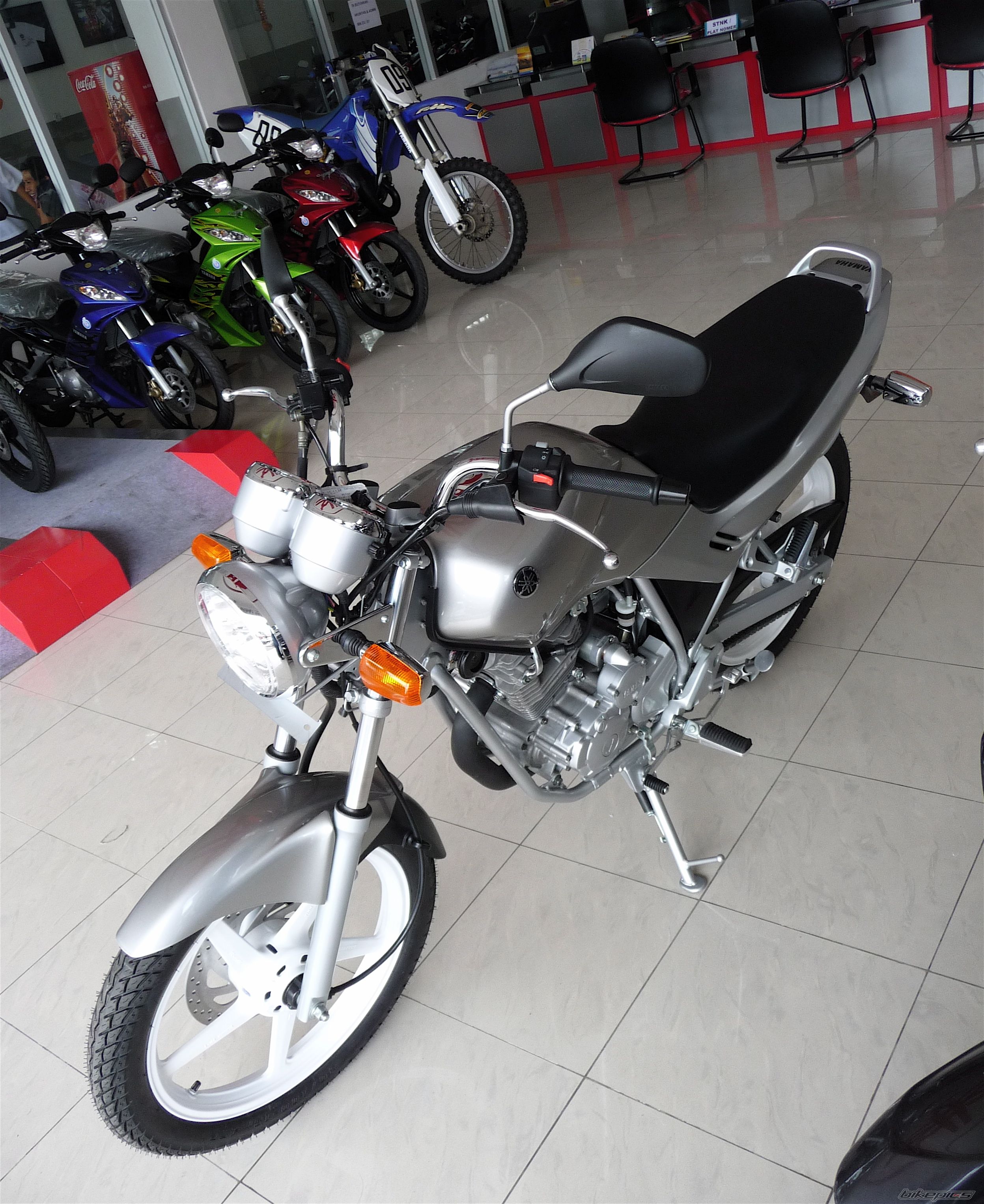Photo 1515202