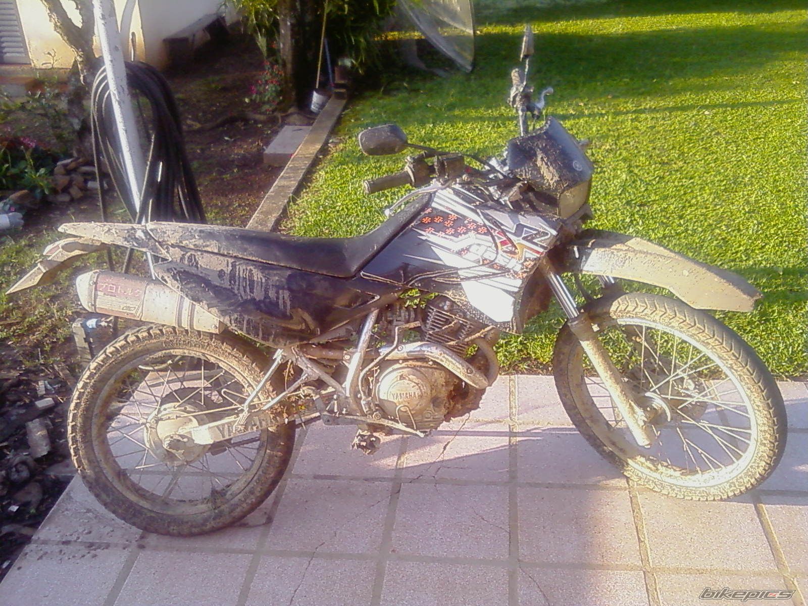 Photo 1515212