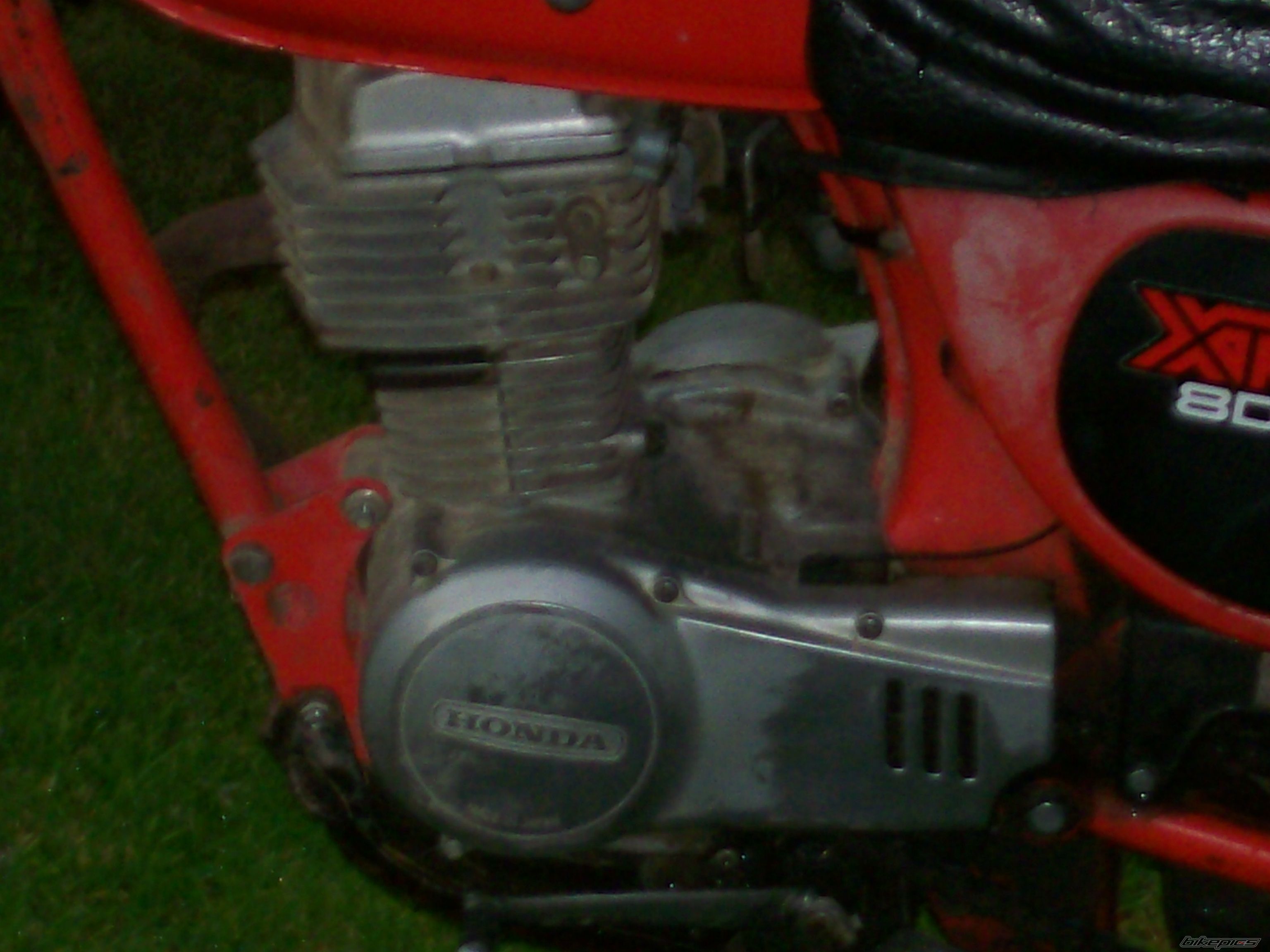 Photo 1515217