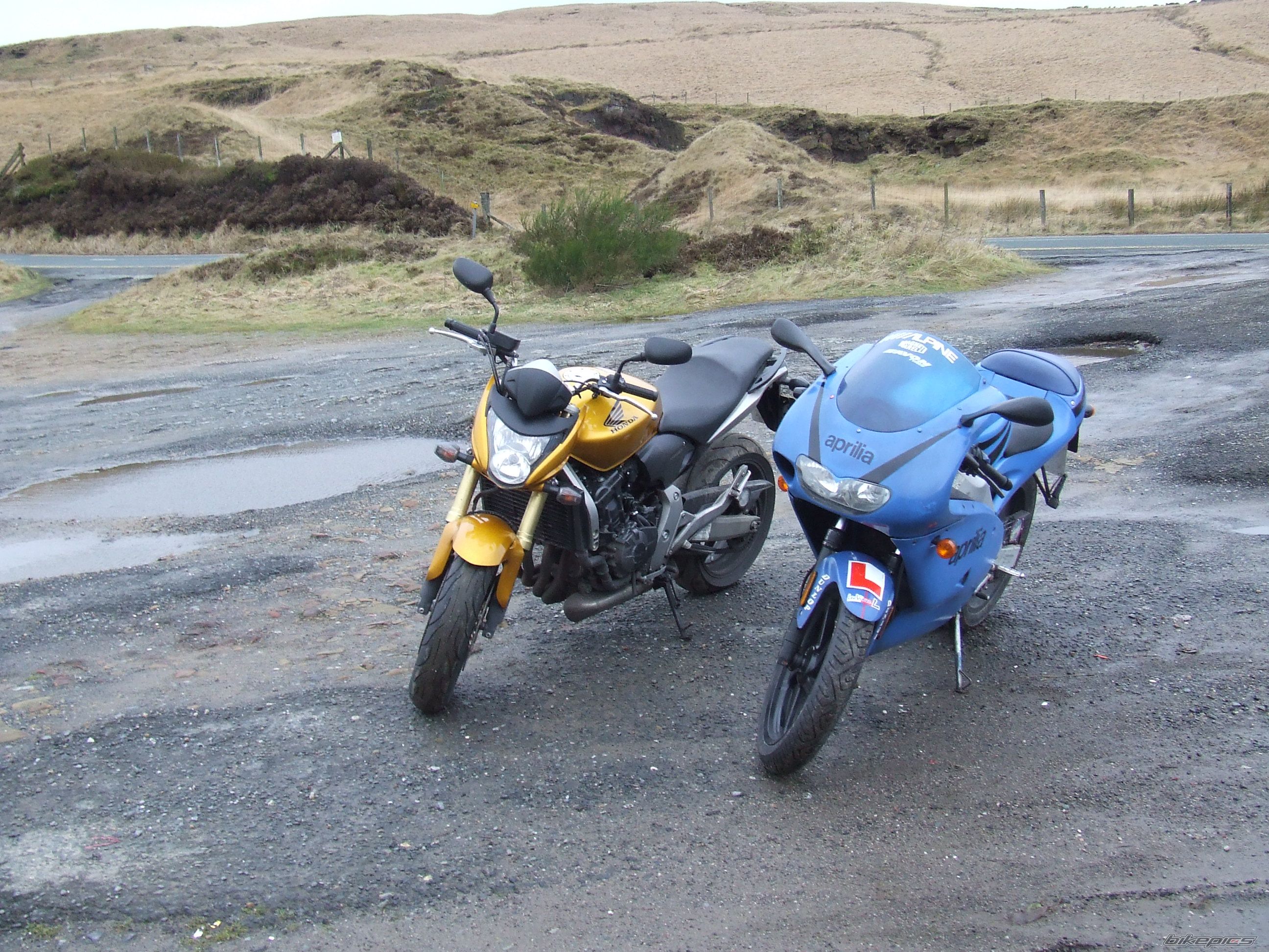 Photo 1515241