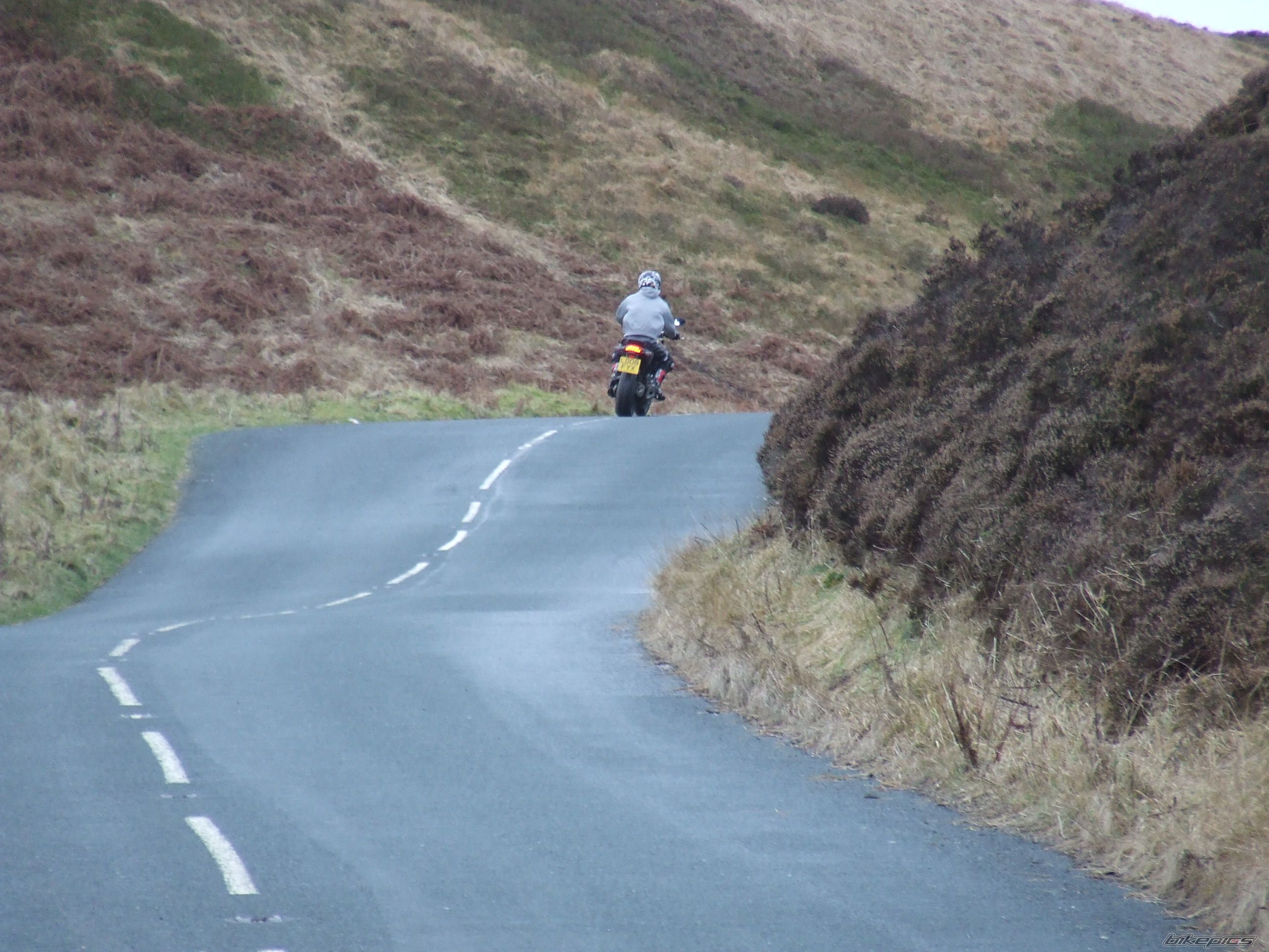 Photo 1515246