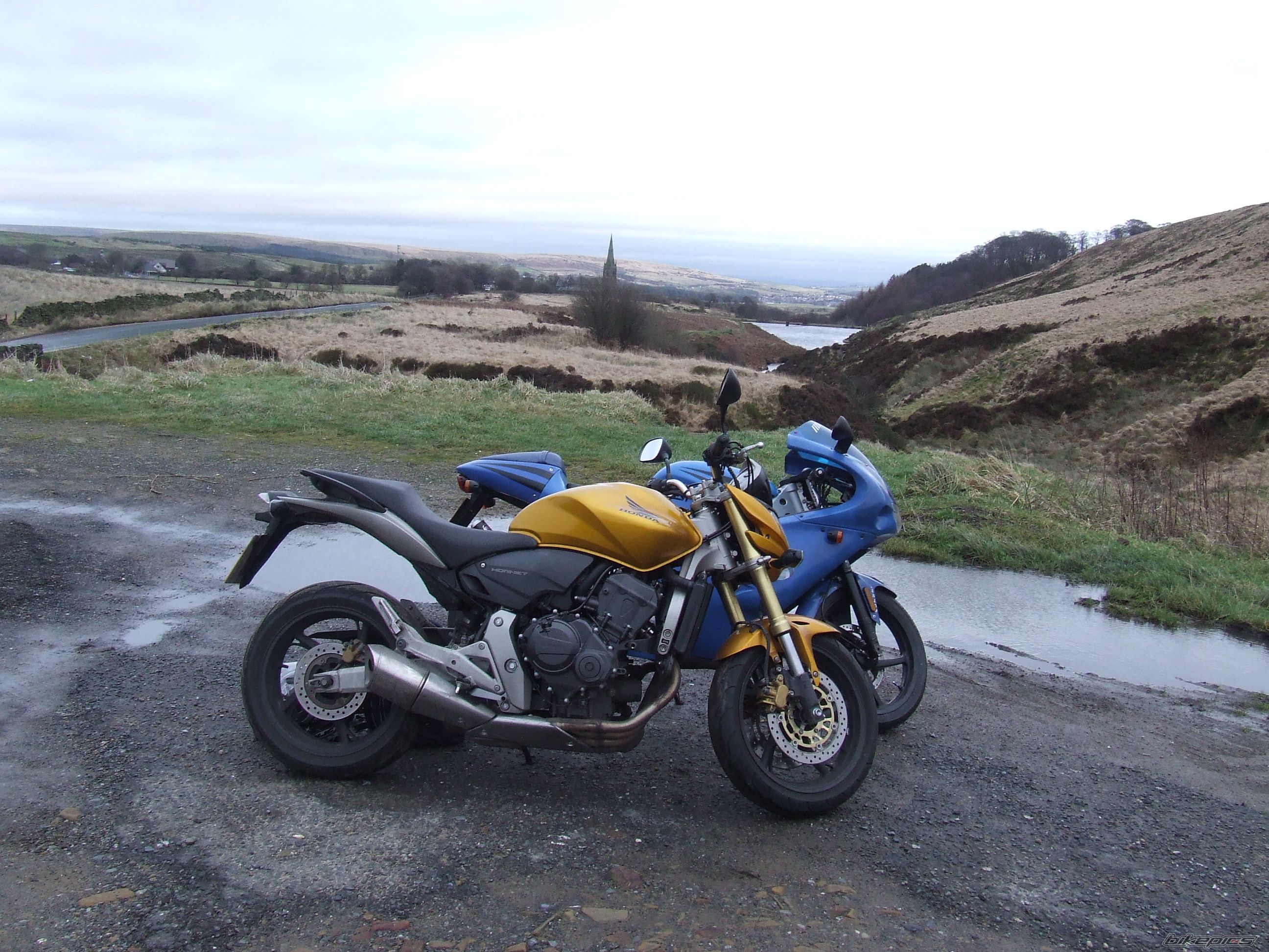 Photo 1515253