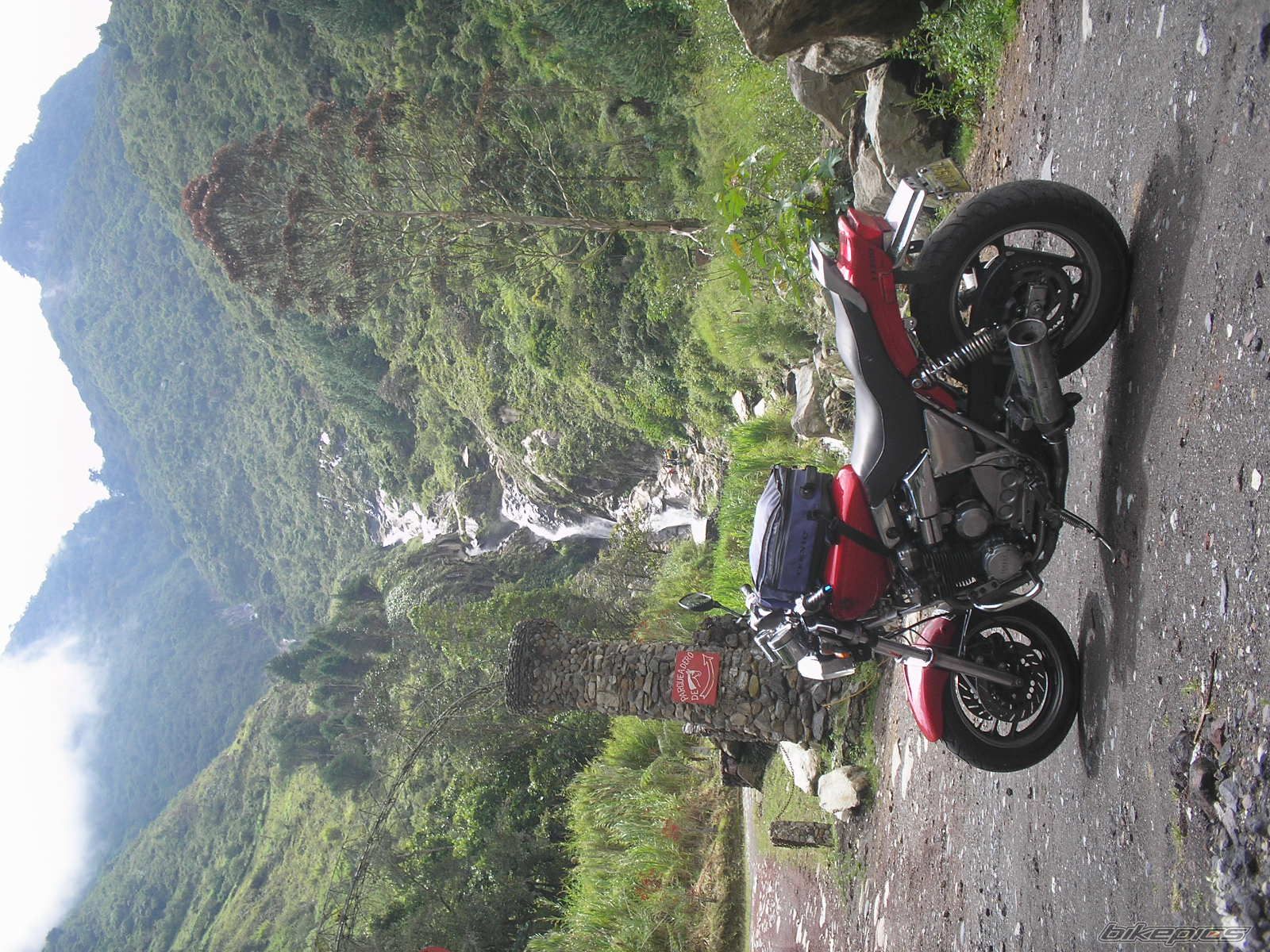 Photo 1515268