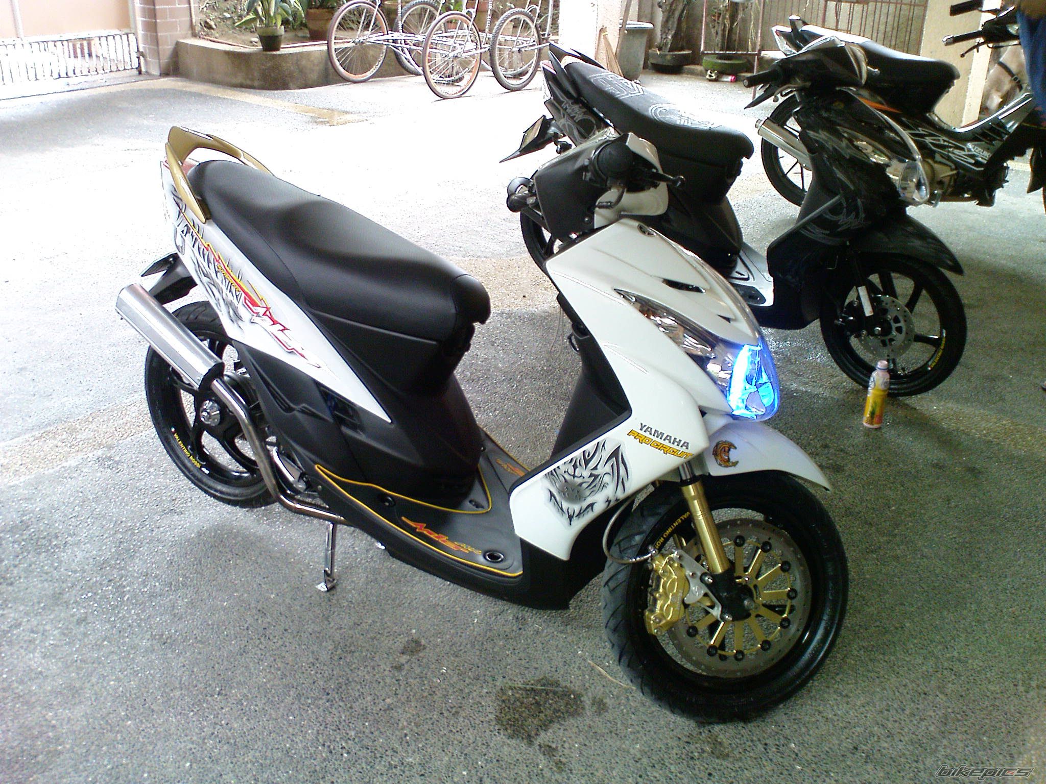 Photo 1515283