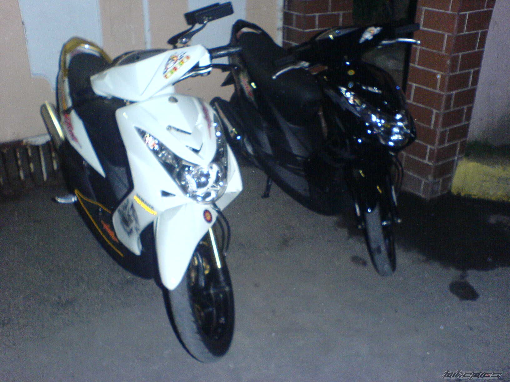 Photo 1515284