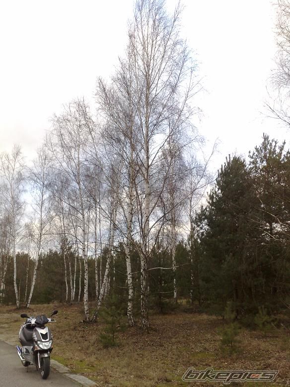 Bike Photo 1515426