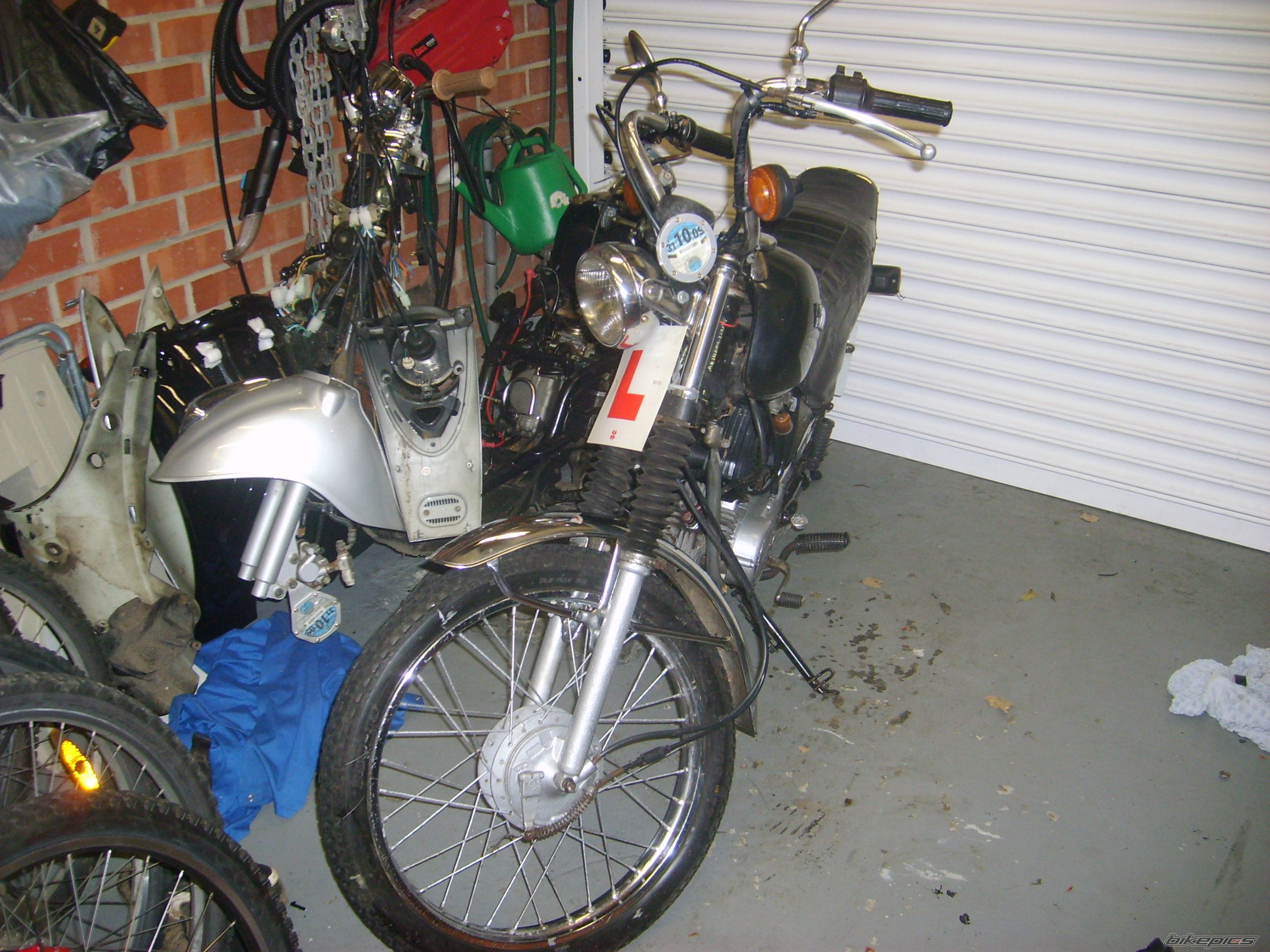 Photo 1515429