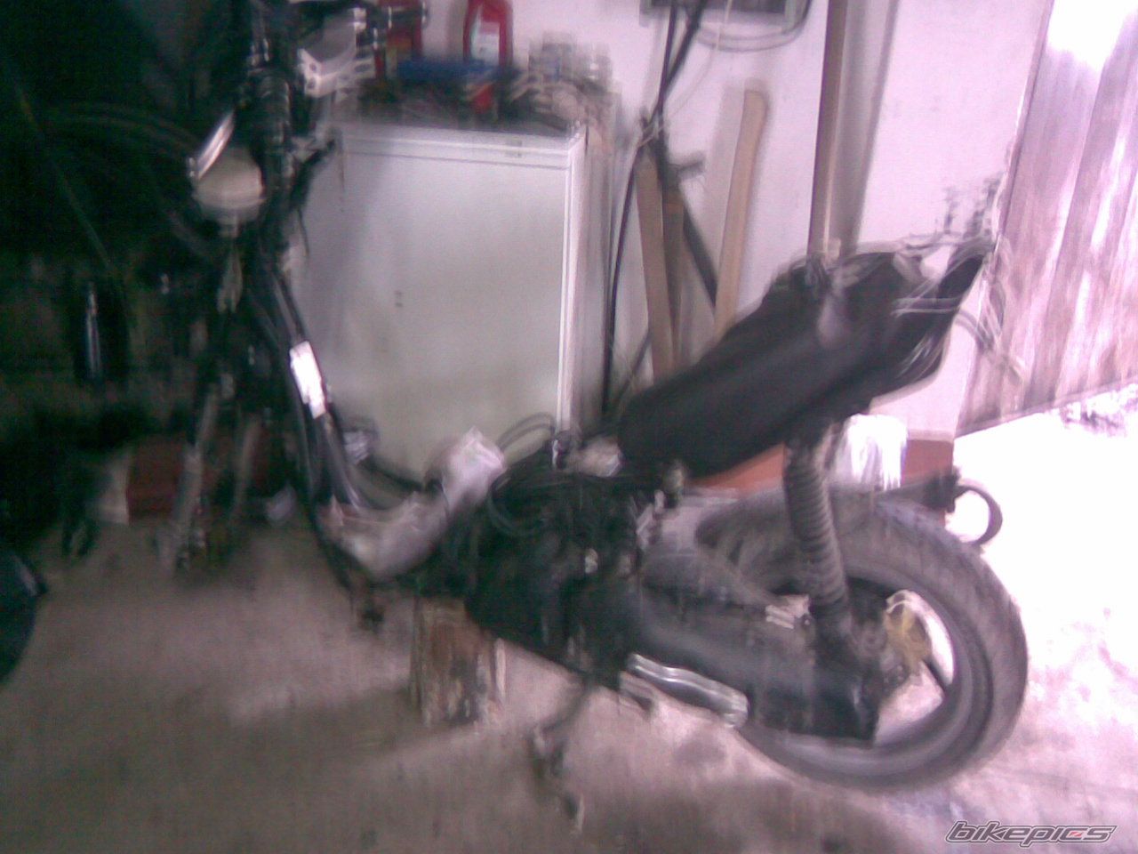 Photo 1515448