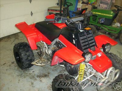 Photo 1515568