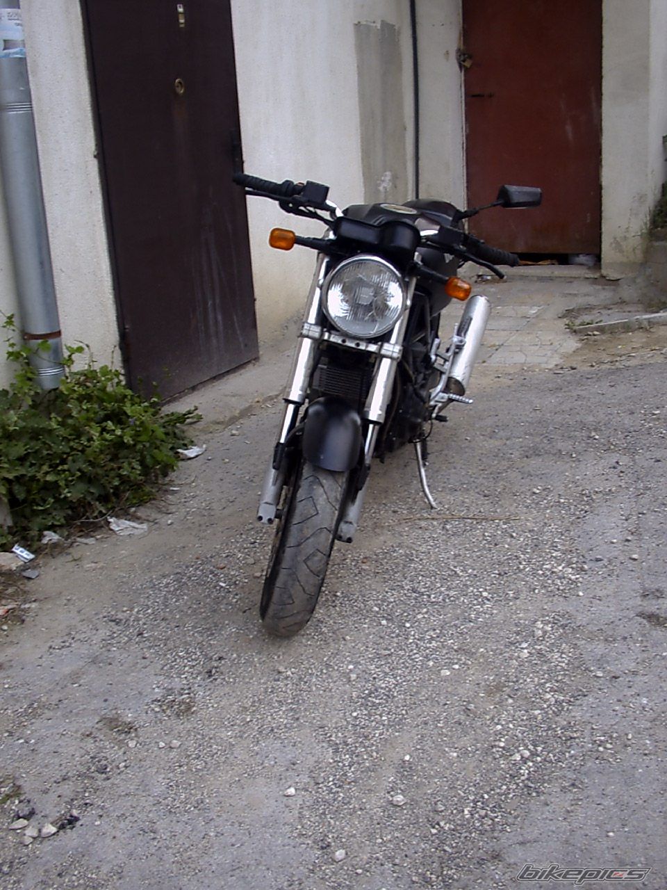 Photo 1515583