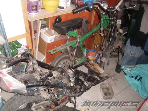 Photo 1515589
