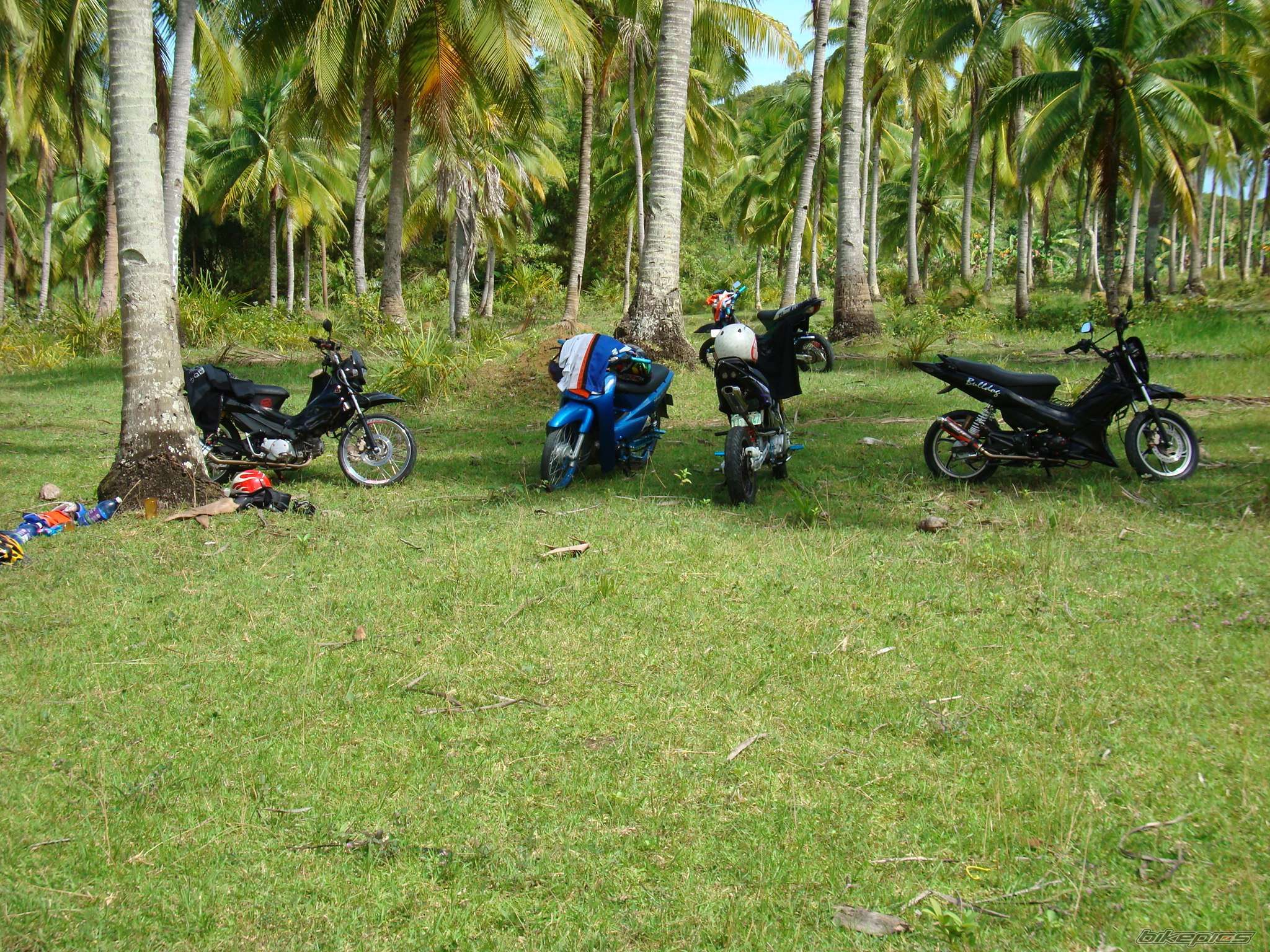 Photo 1515681