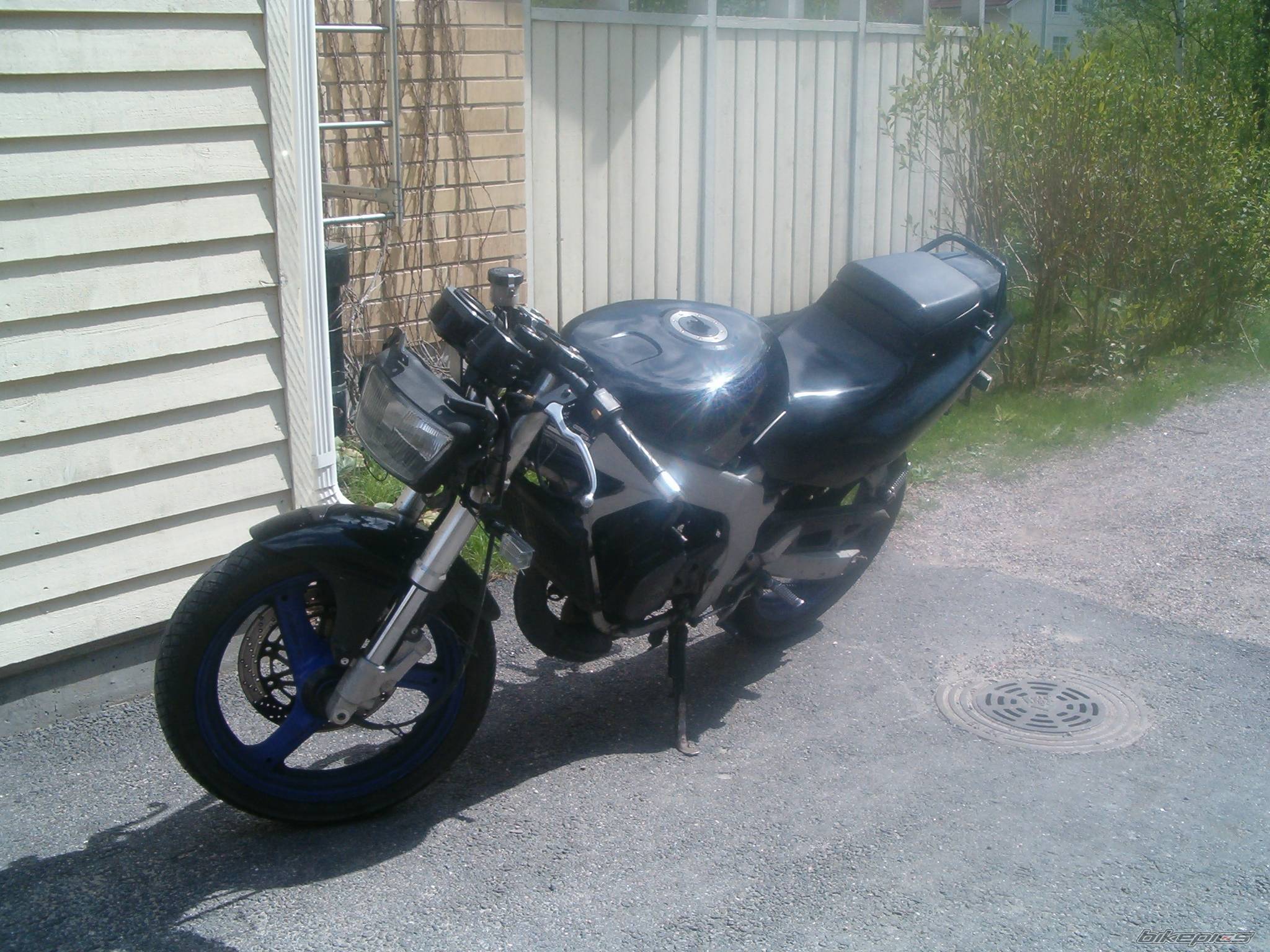 Photo 151576