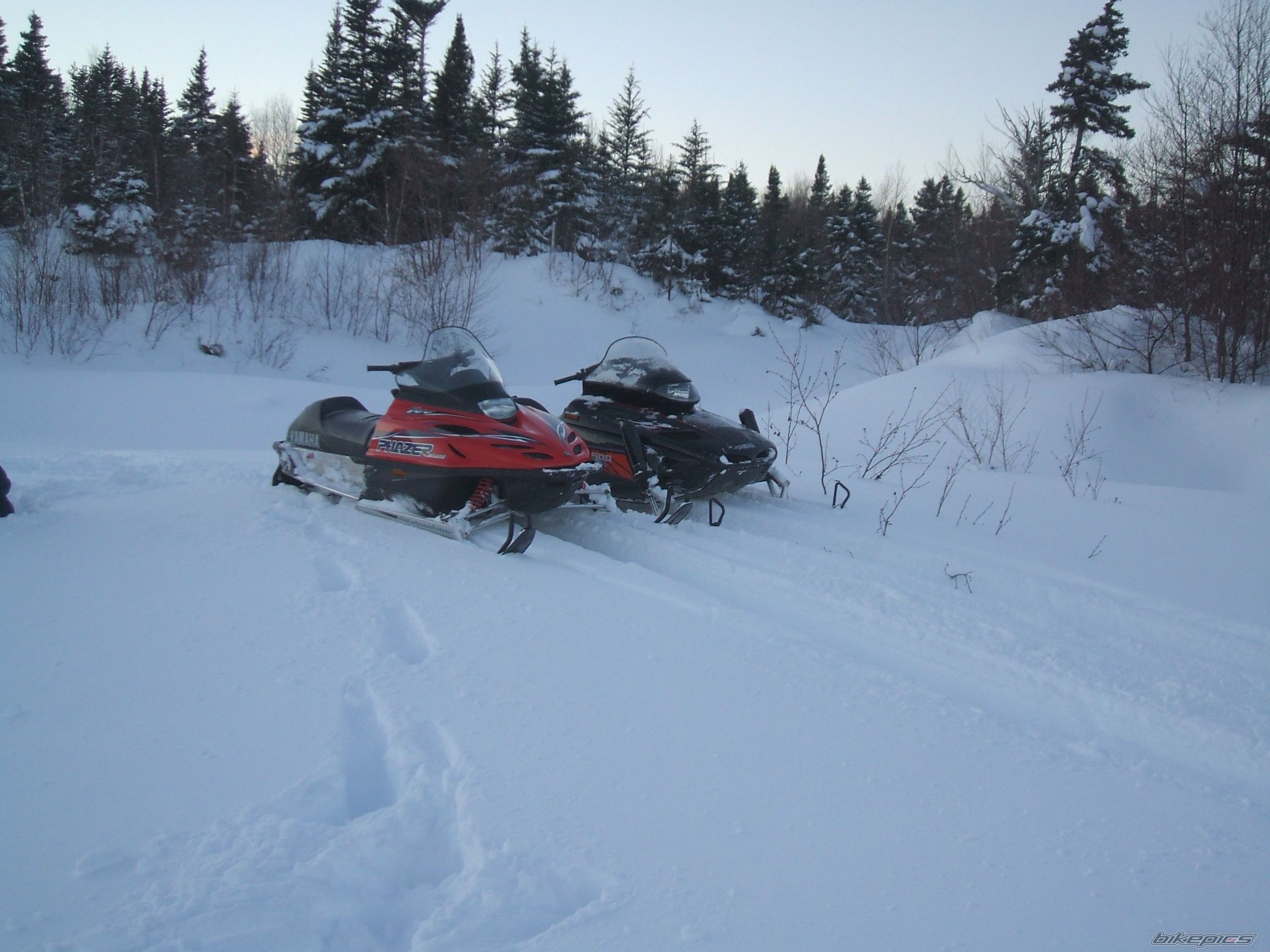 Photo 1515779