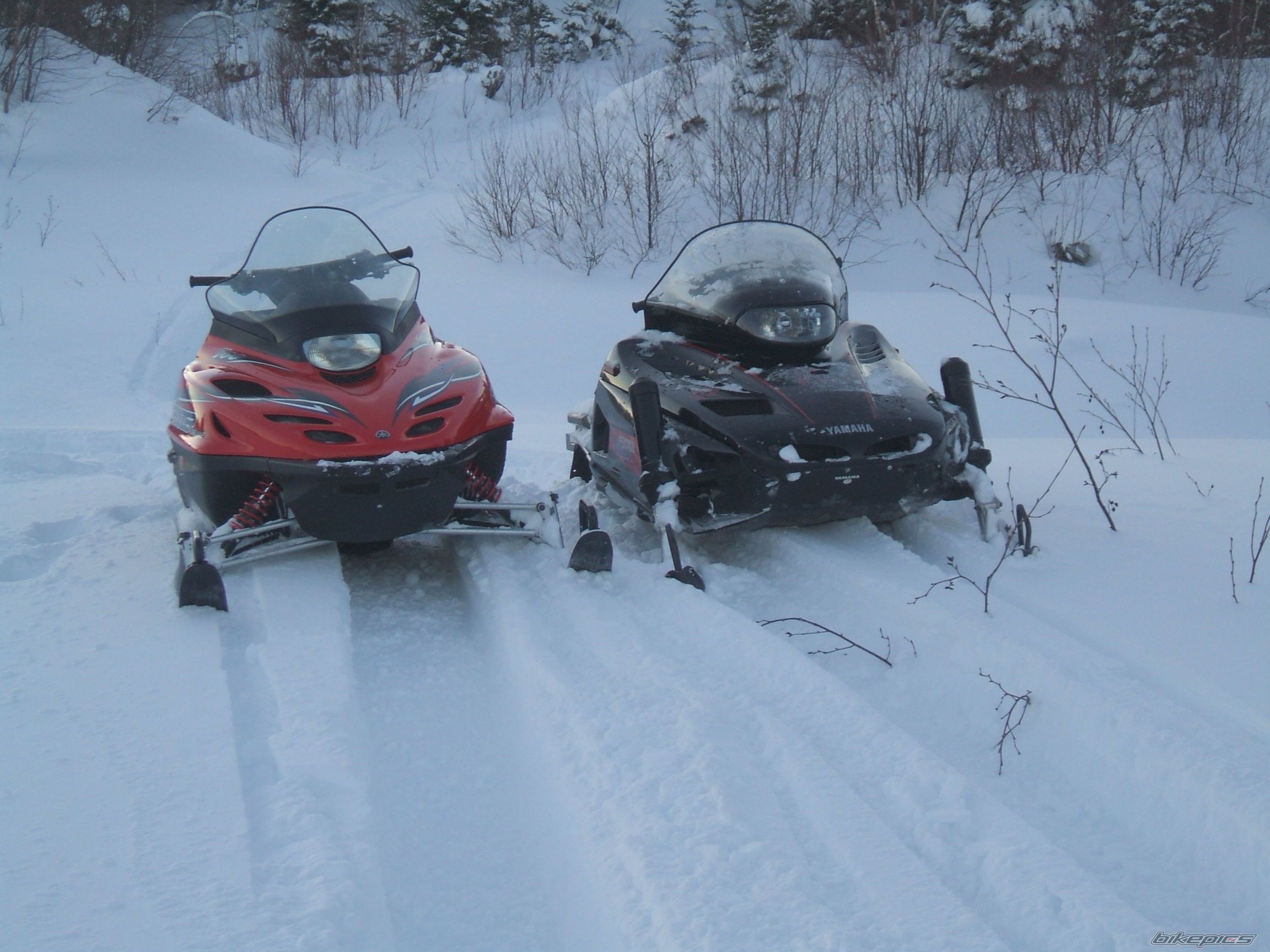 Photo 1515781