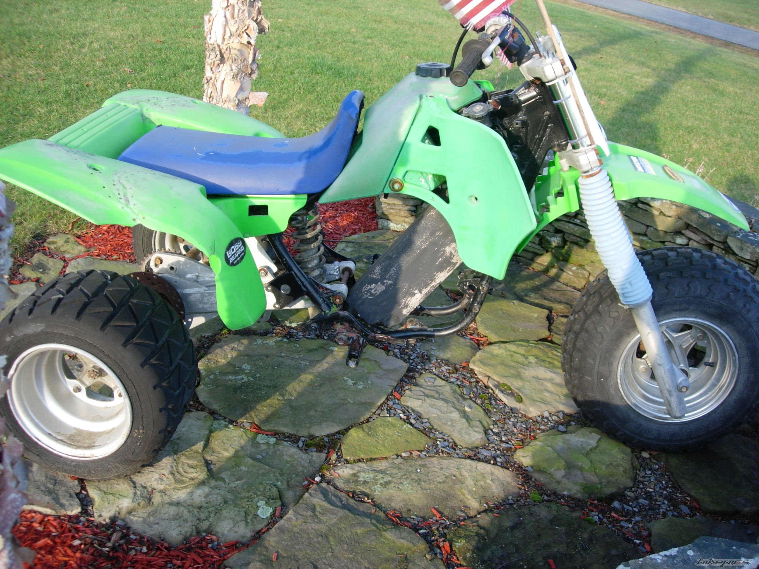 Photo 1515817