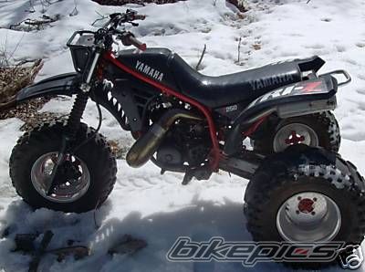 Photo 1515921