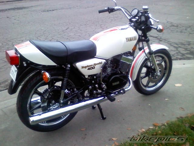 Photo 1515929