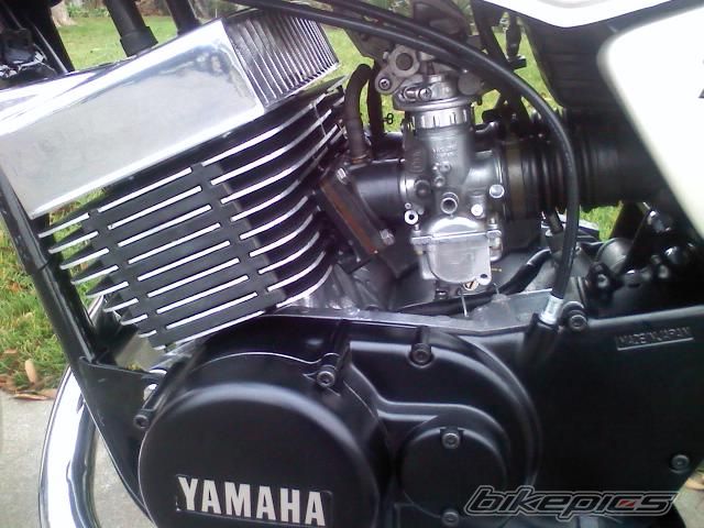 Photo 1515935