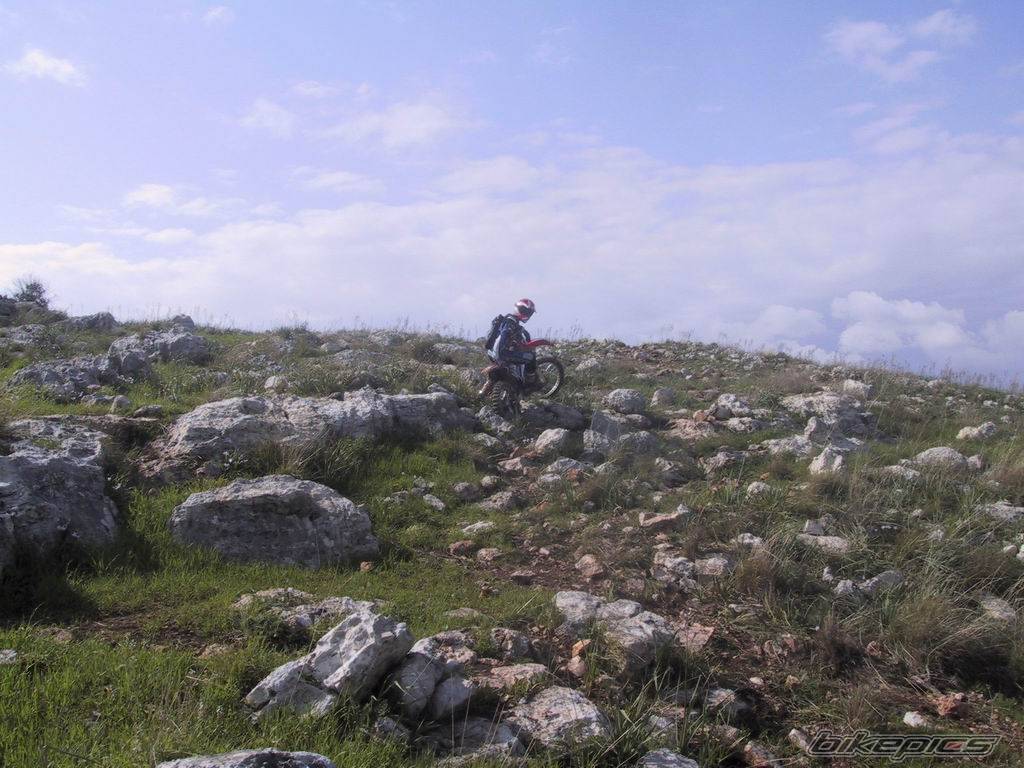 Photo 151594