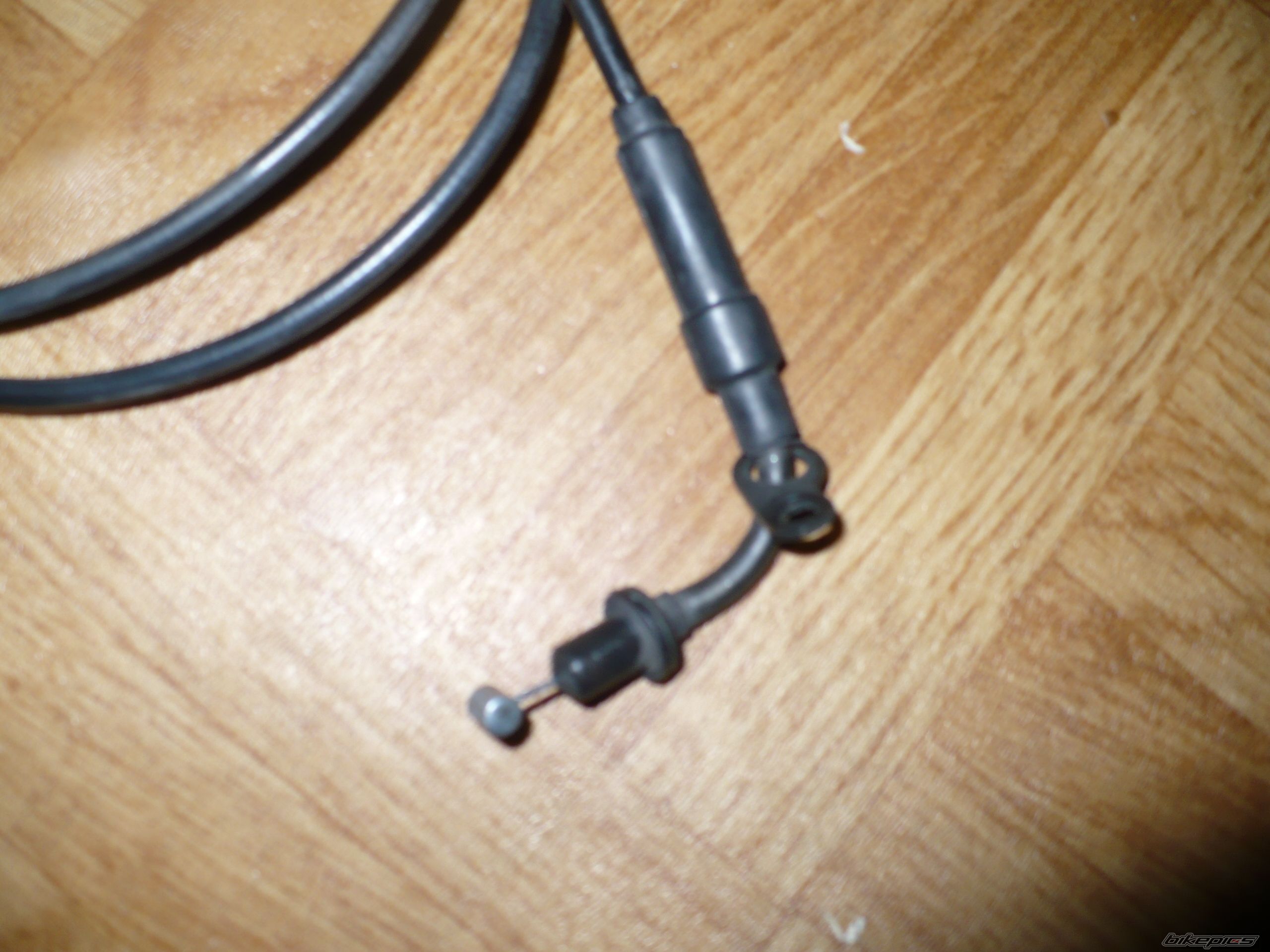 Photo 1515982