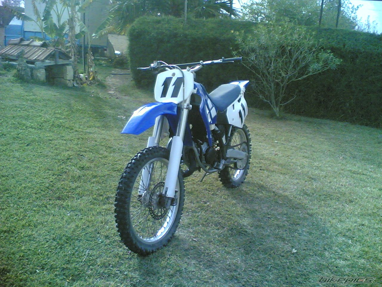Photo 1516007