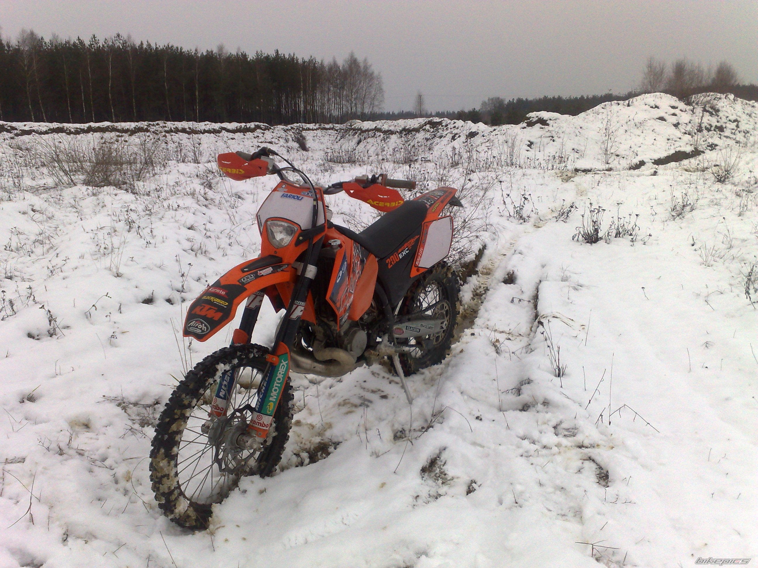 Photo 1516038