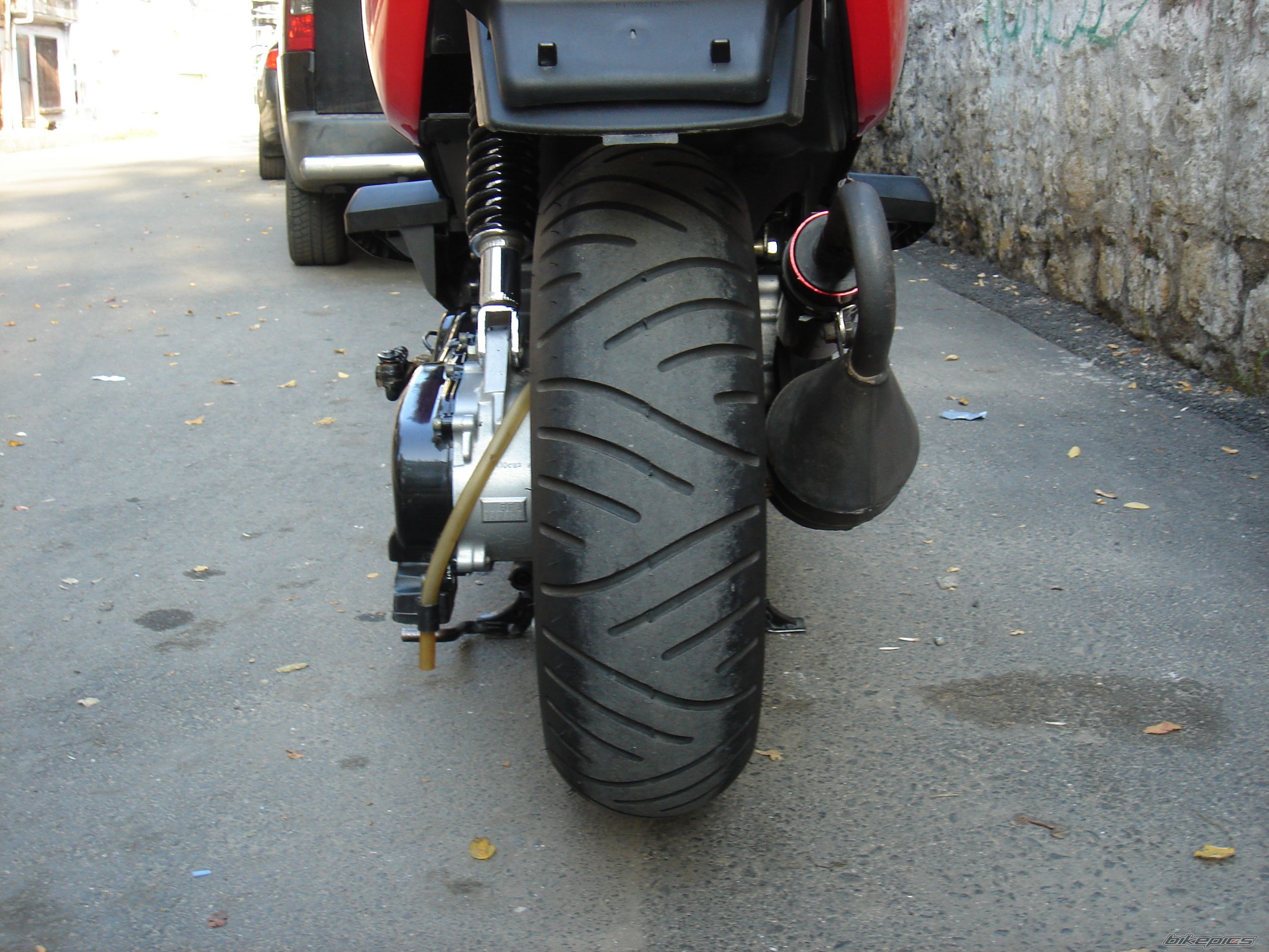 Photo 1516175