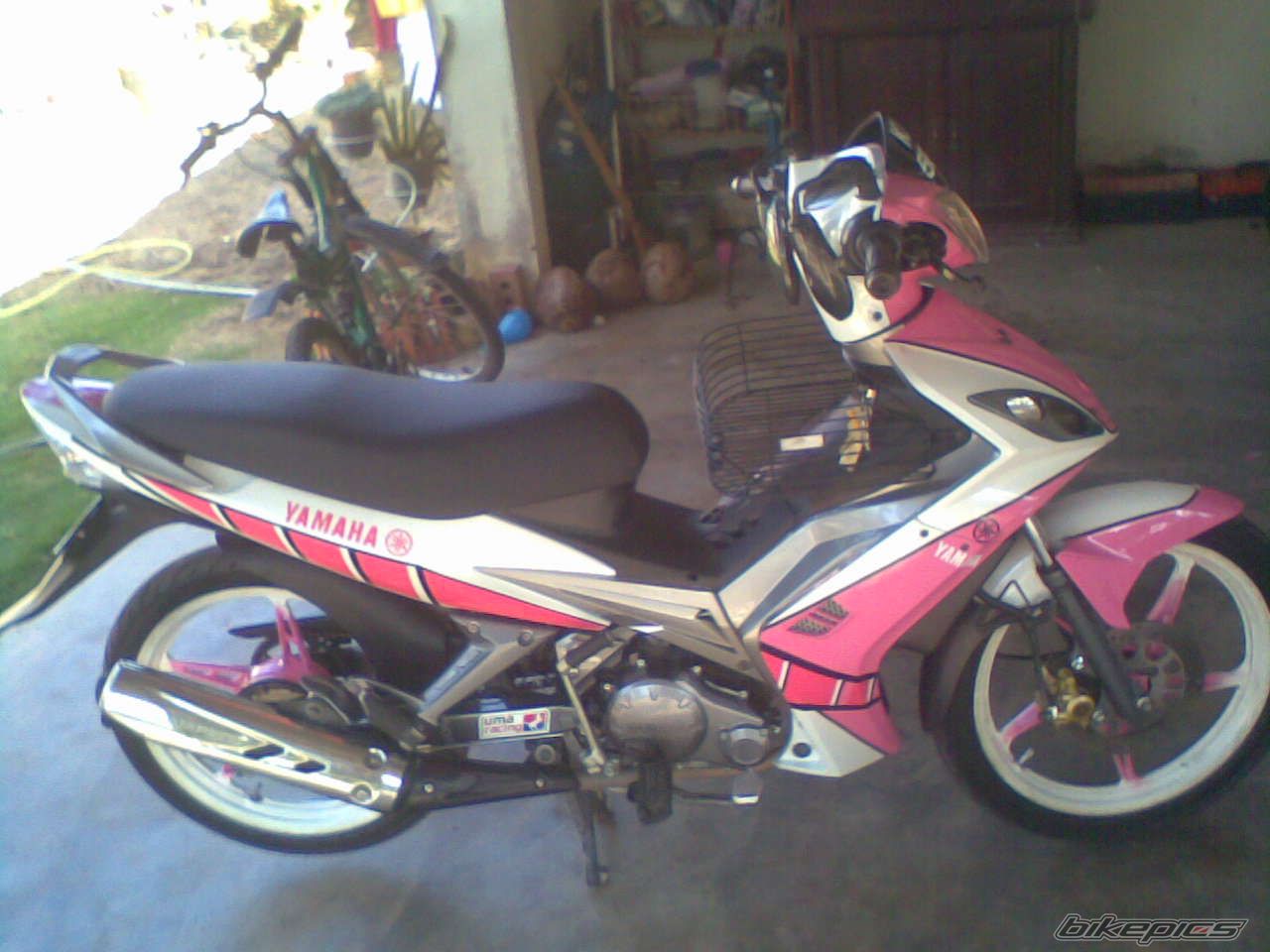 Photo 1516179
