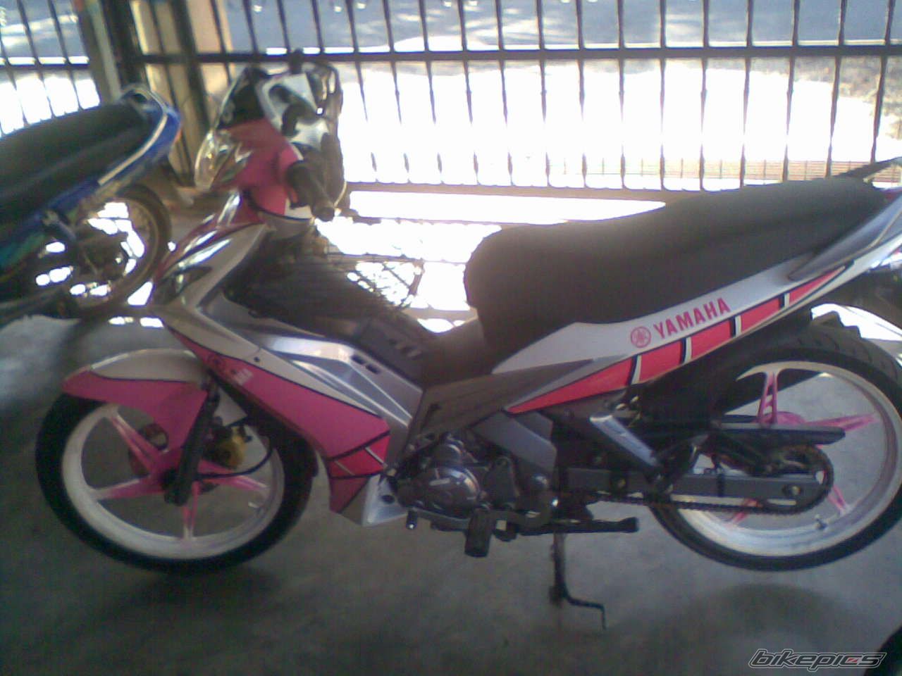 Photo 1516181
