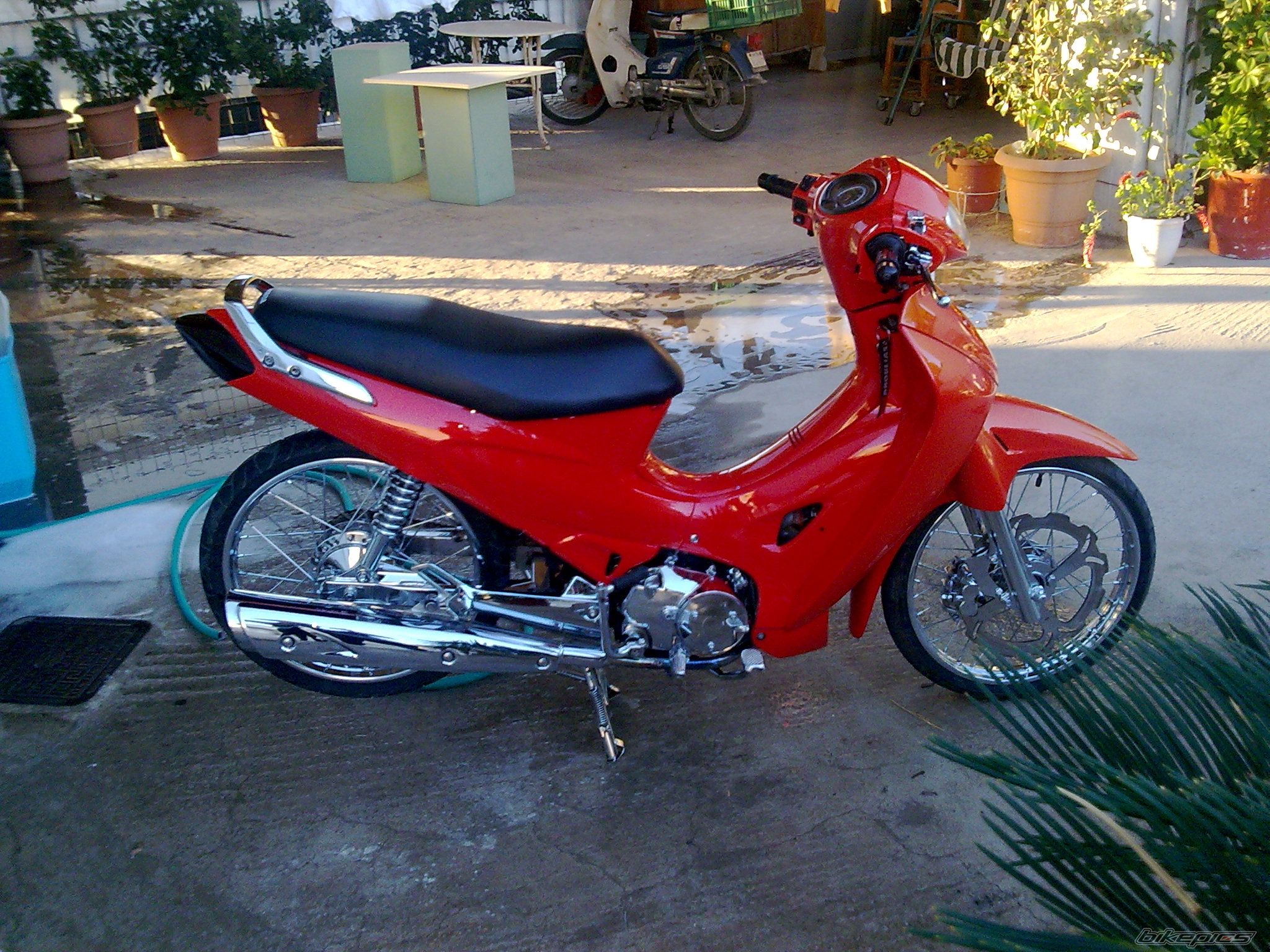 Photo 1516212