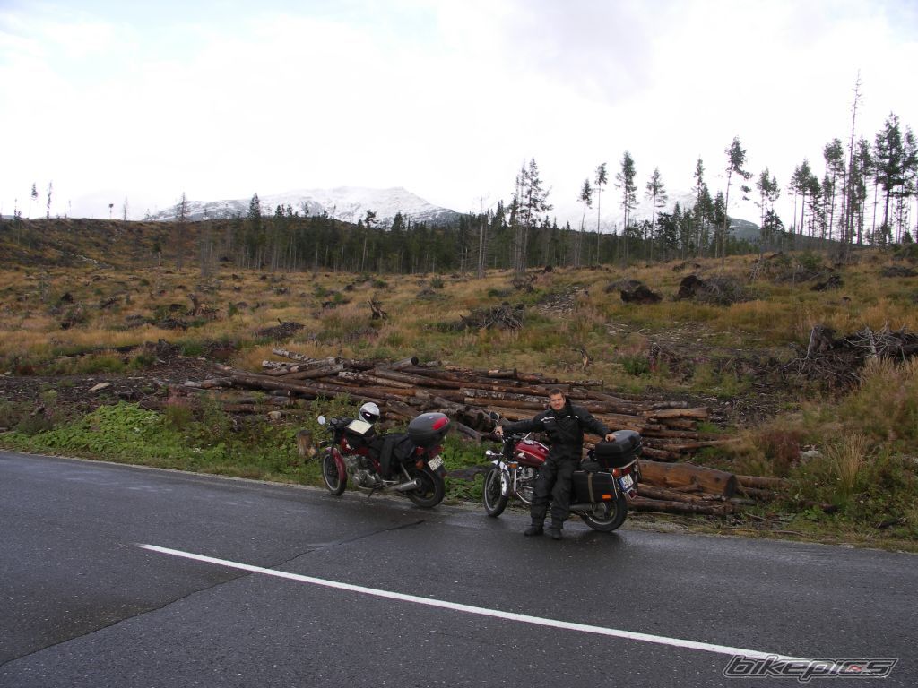 Photo 1516225