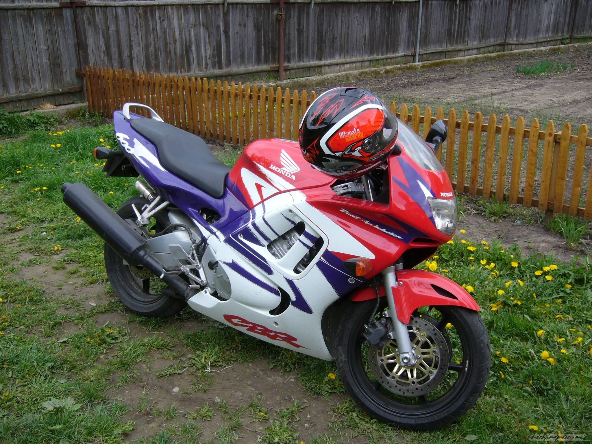 Photo 1516262
