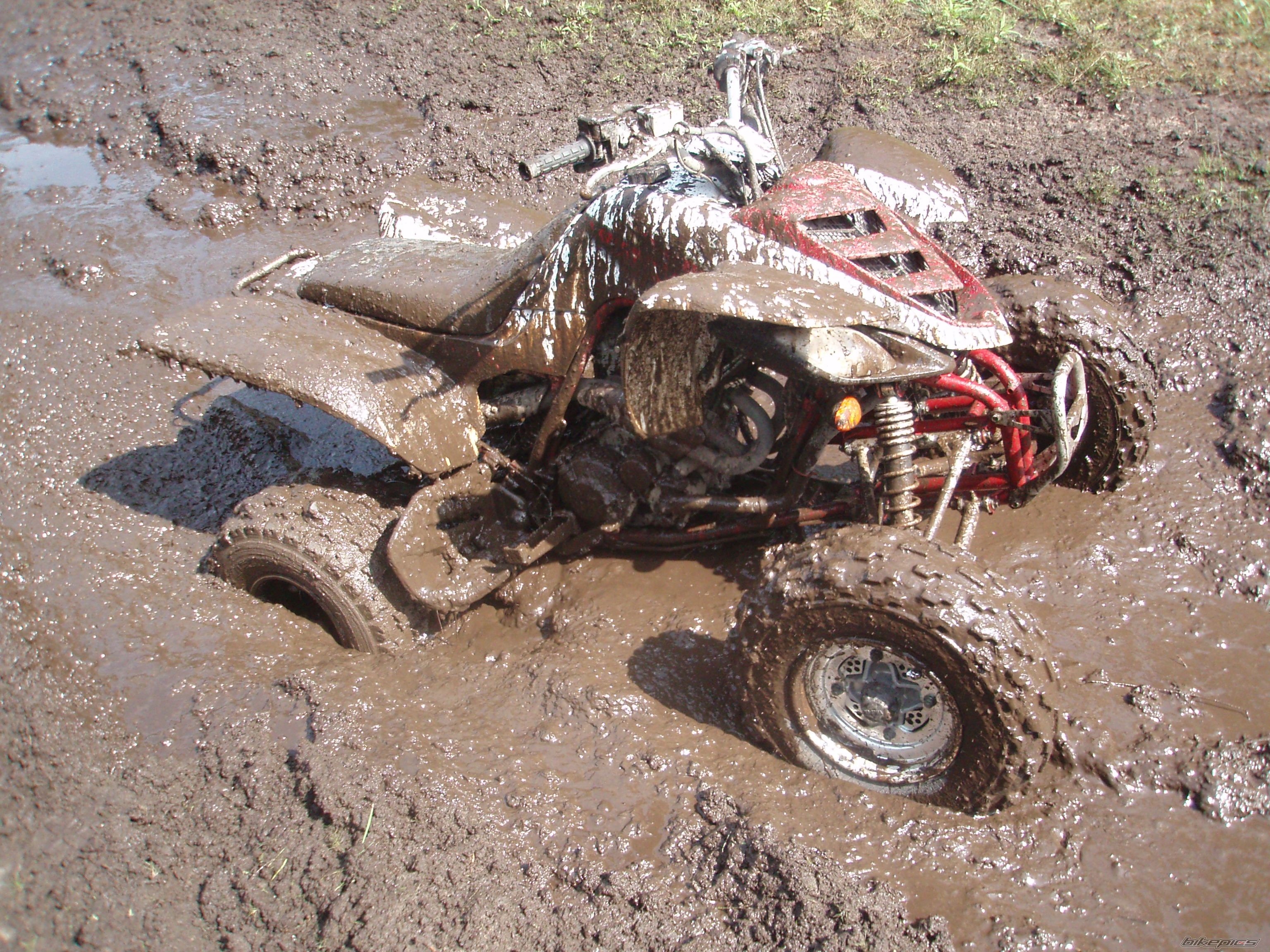Bike Photo 1516278