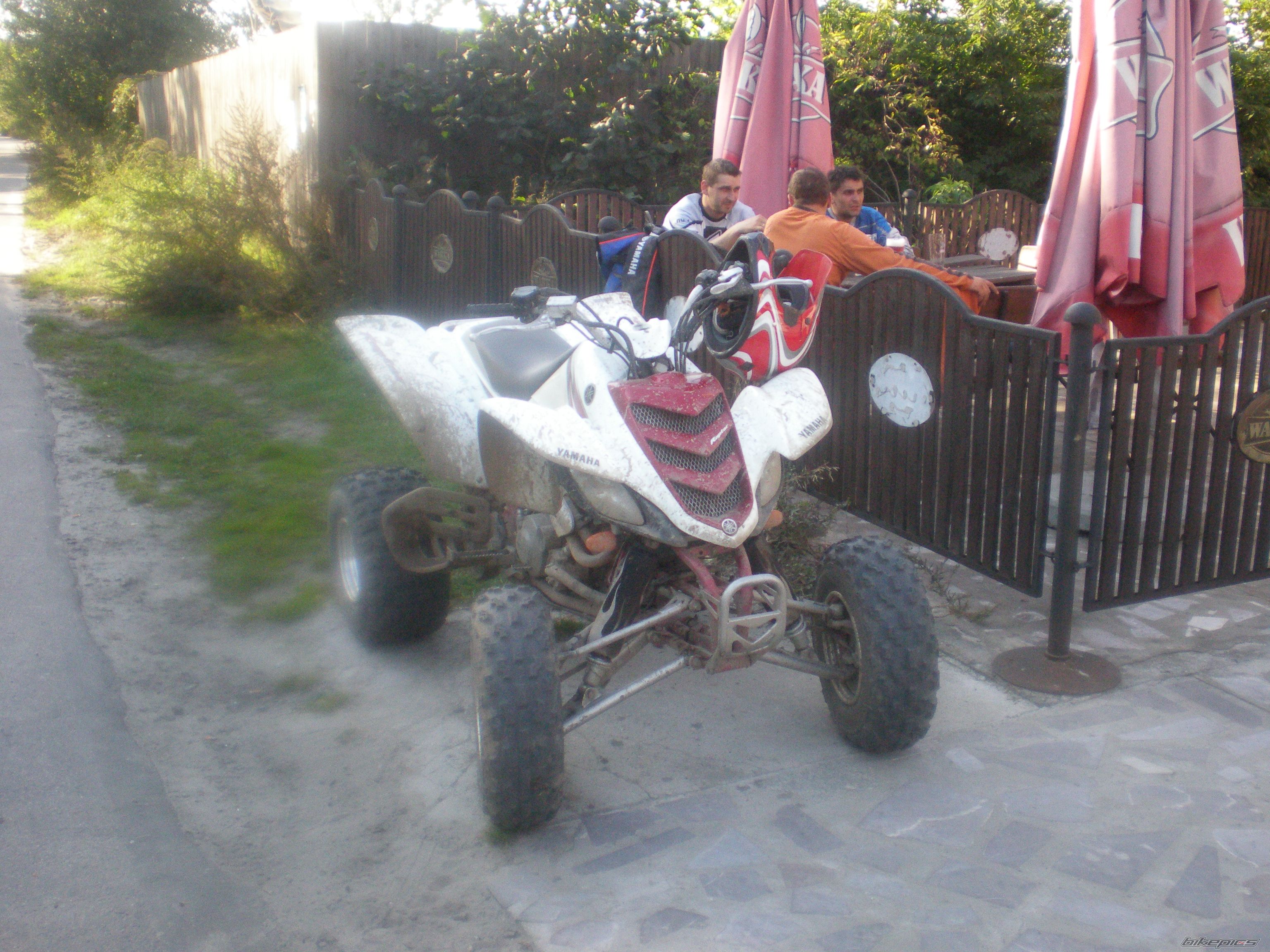 Photo 1516324