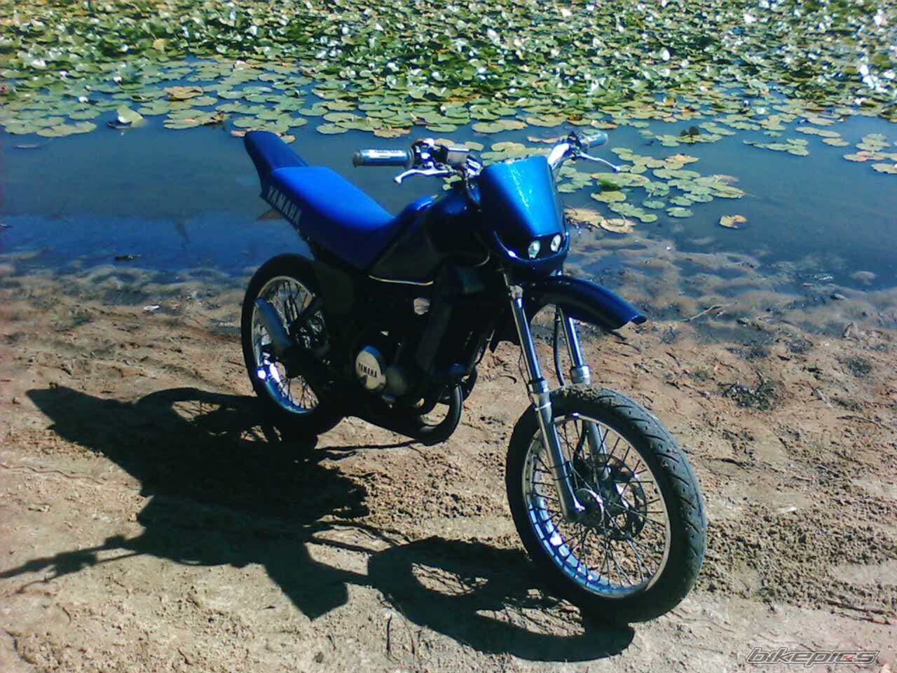 Photo 1516343