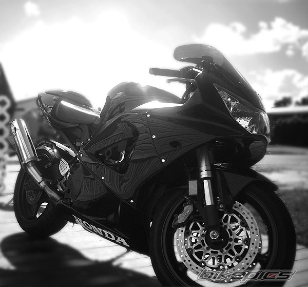 Photo 1516389
