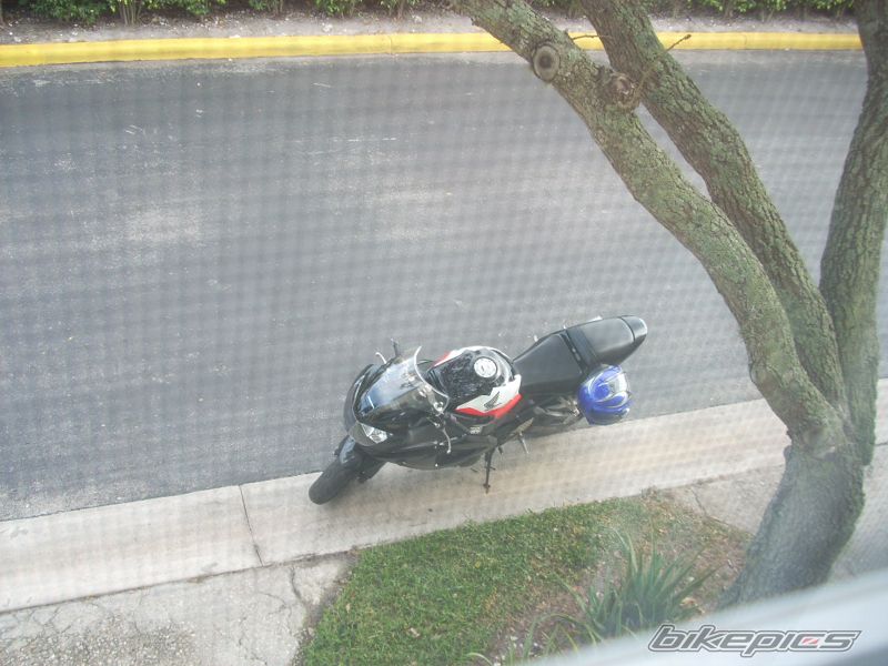 Photo 1516411