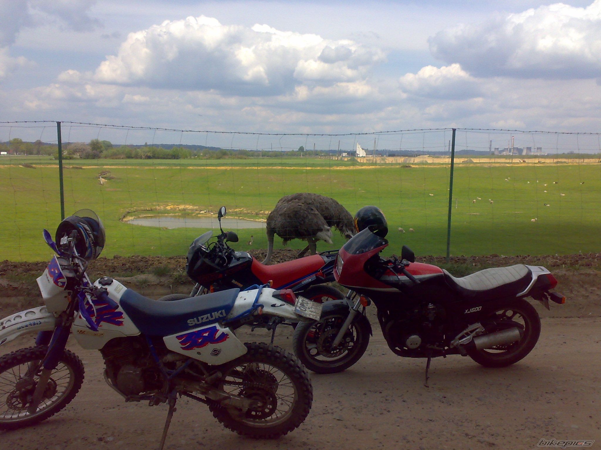 Photo 1516432