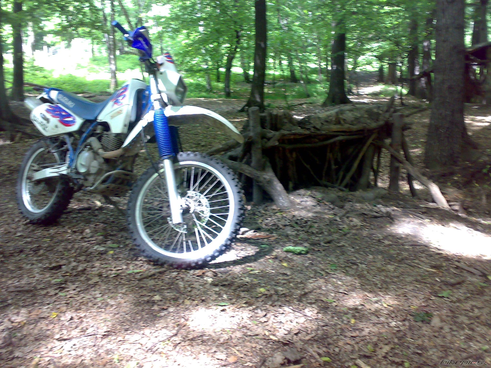 Photo 1516433