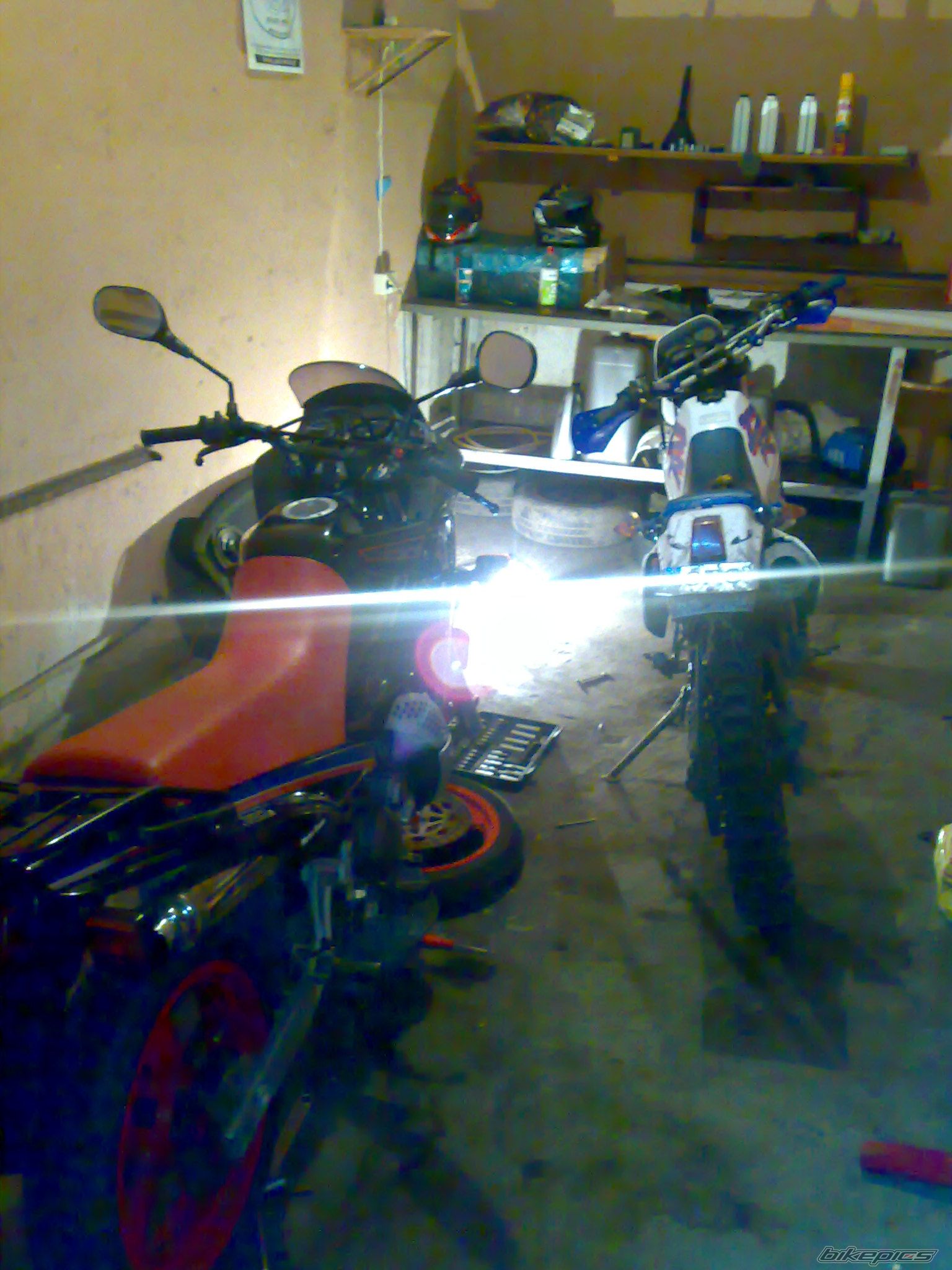 Photo 1516436