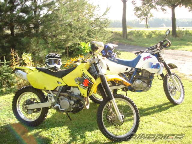 Photo 1516501