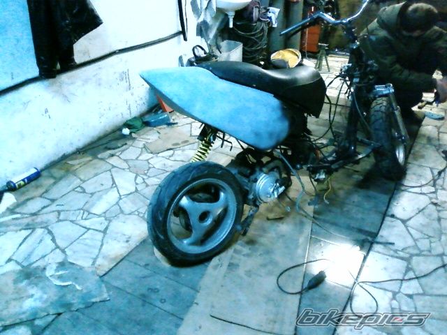 Photo 1516554