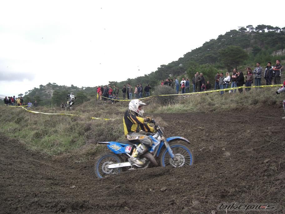 Photo 1516735