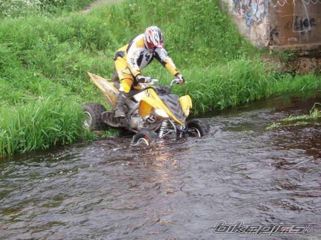 Photo 1516775