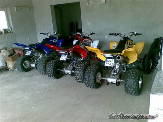 Photo 1516781