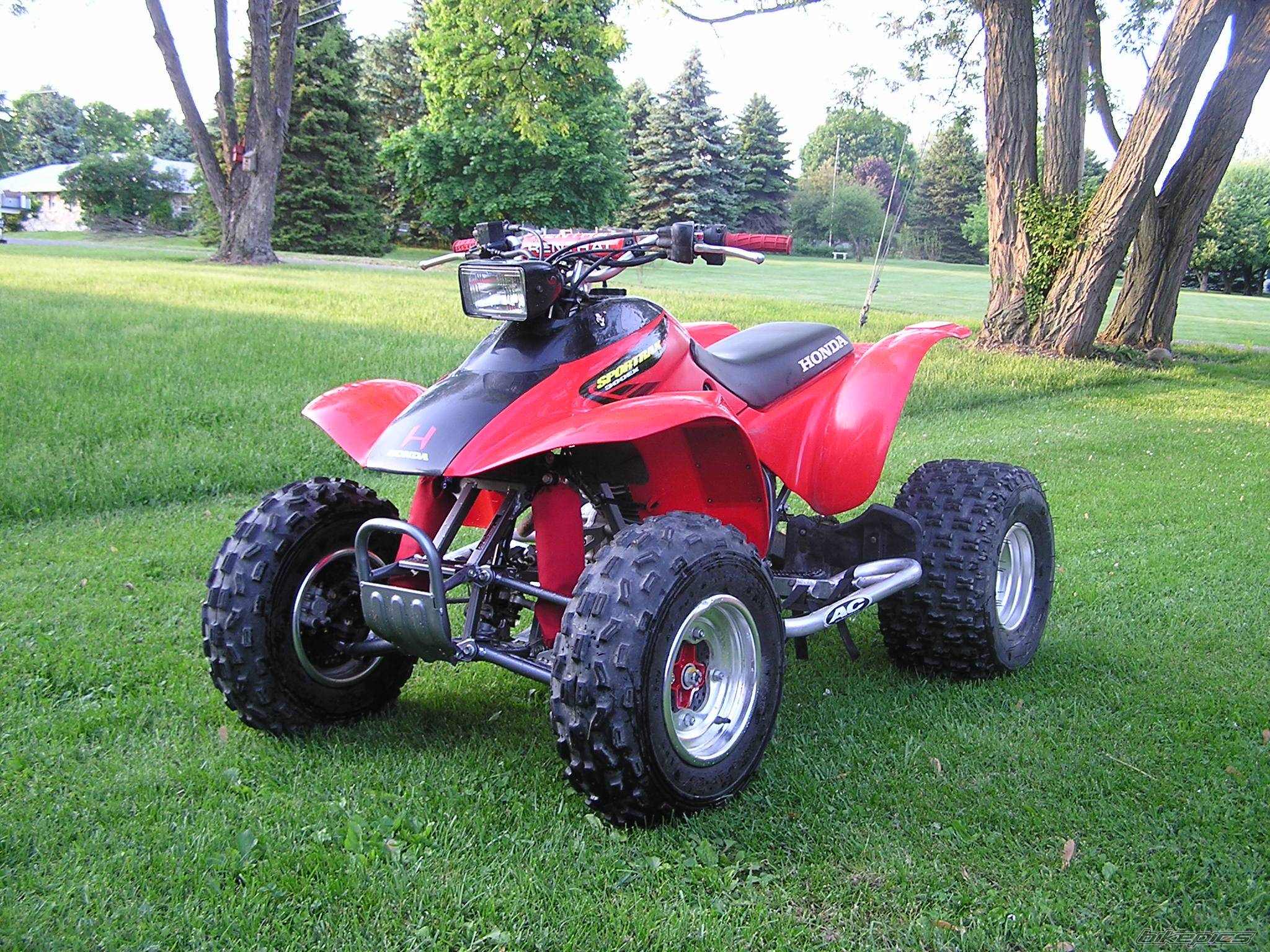 Photo 151681