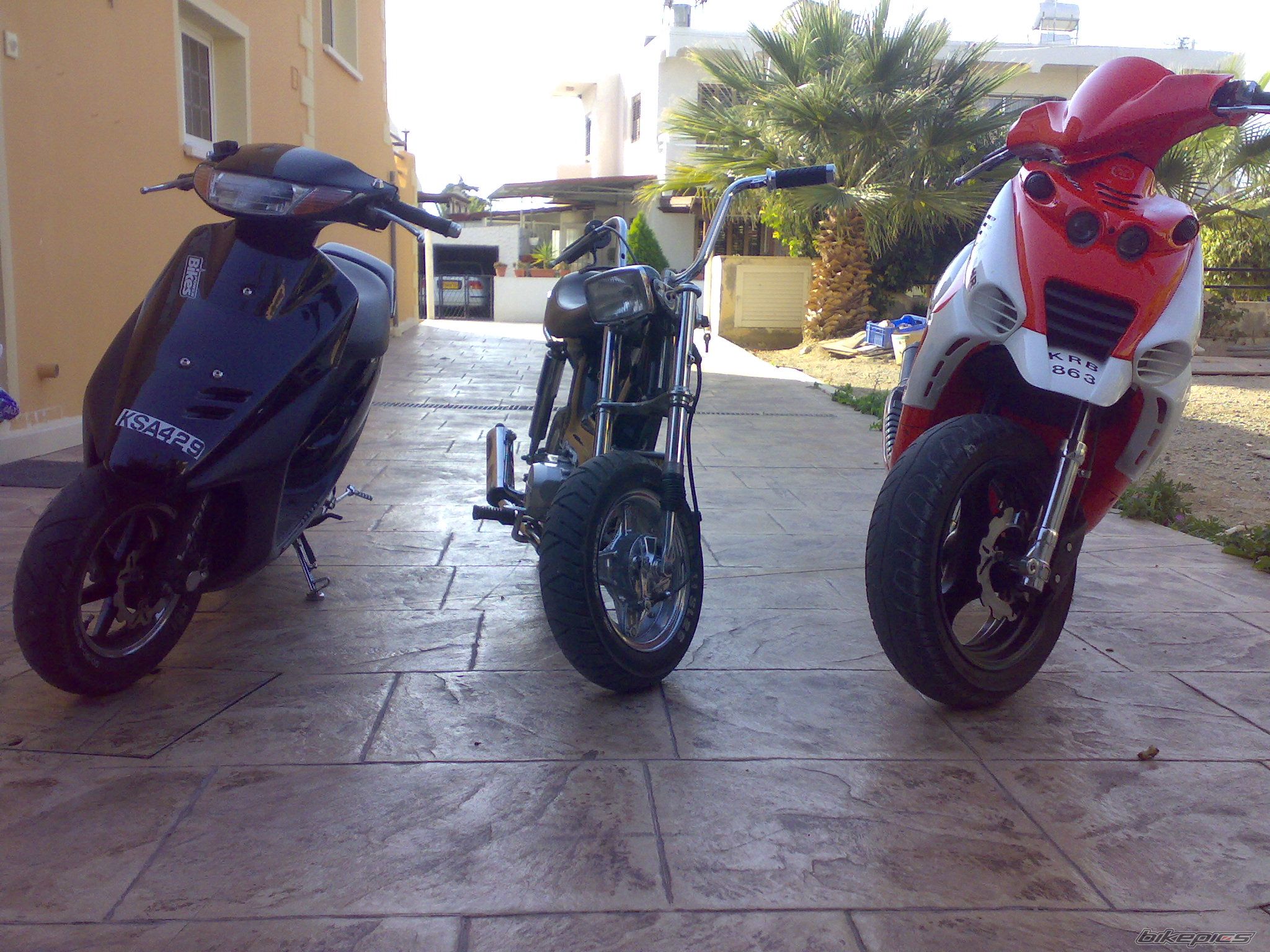 Photo 1516811